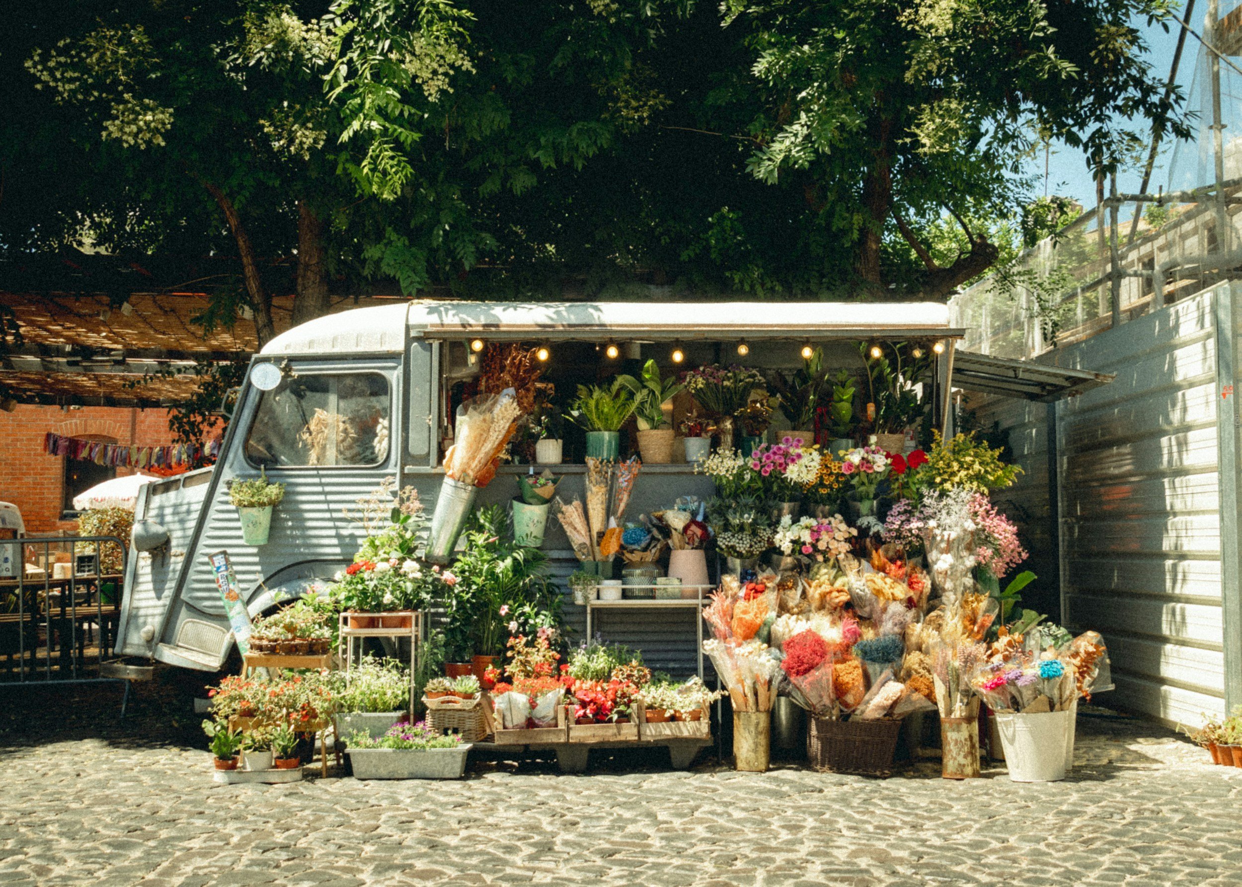 A flower vendor's truck parked outdoors, selling a variety of colorful flowers and plants under a large tree on a cobblestone street.