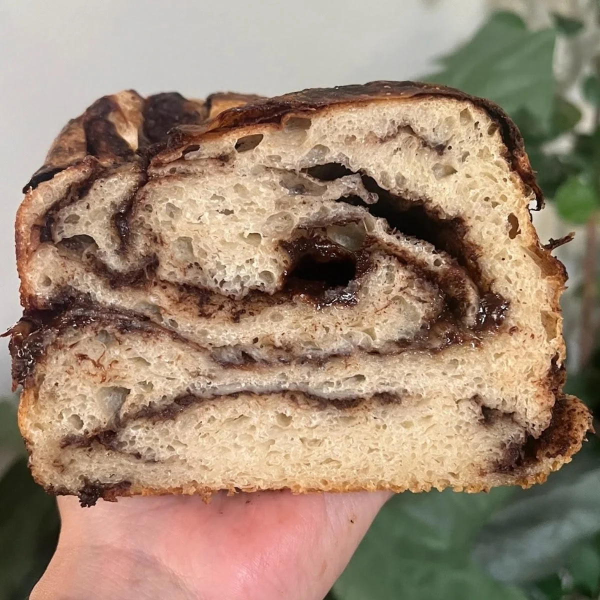 Nutella Swirl