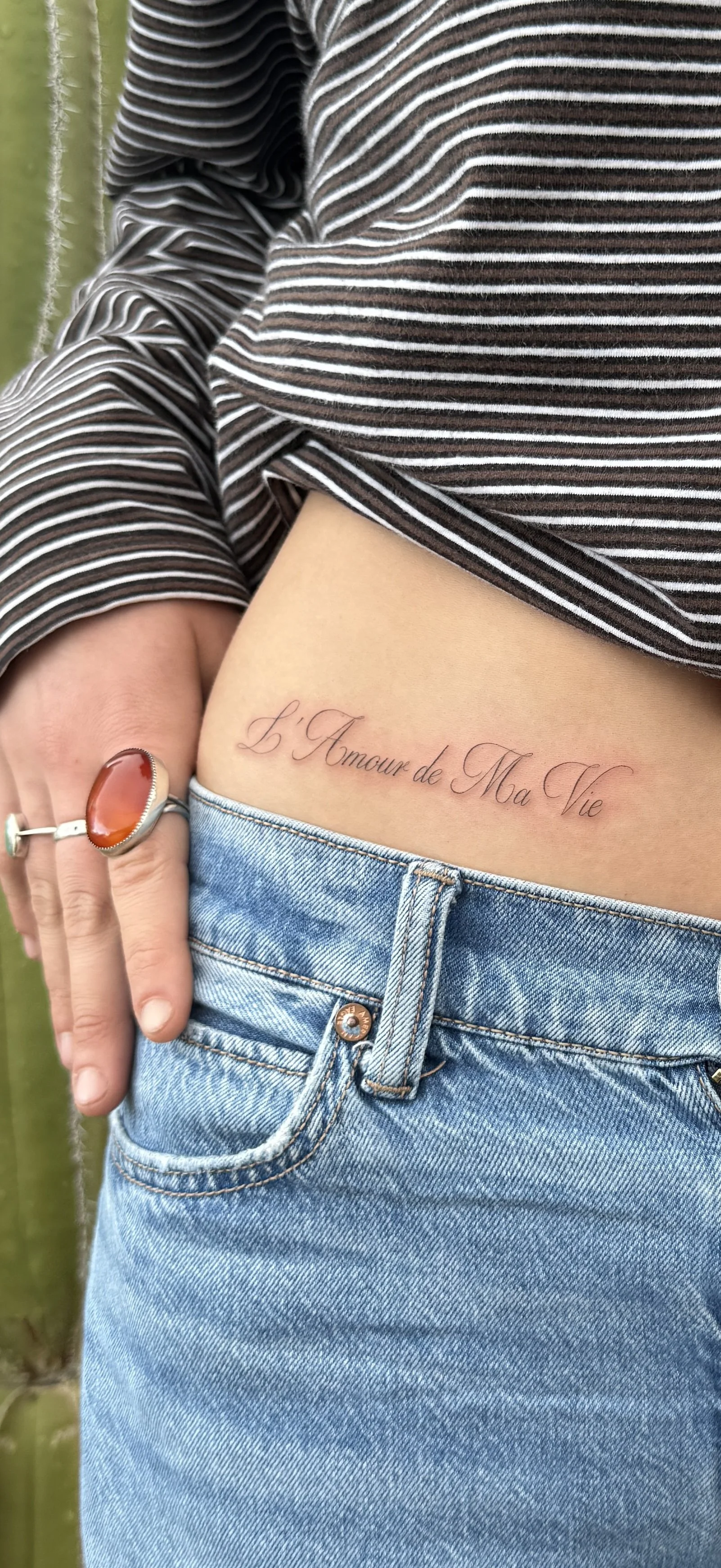 FINE LINE SCRIPT