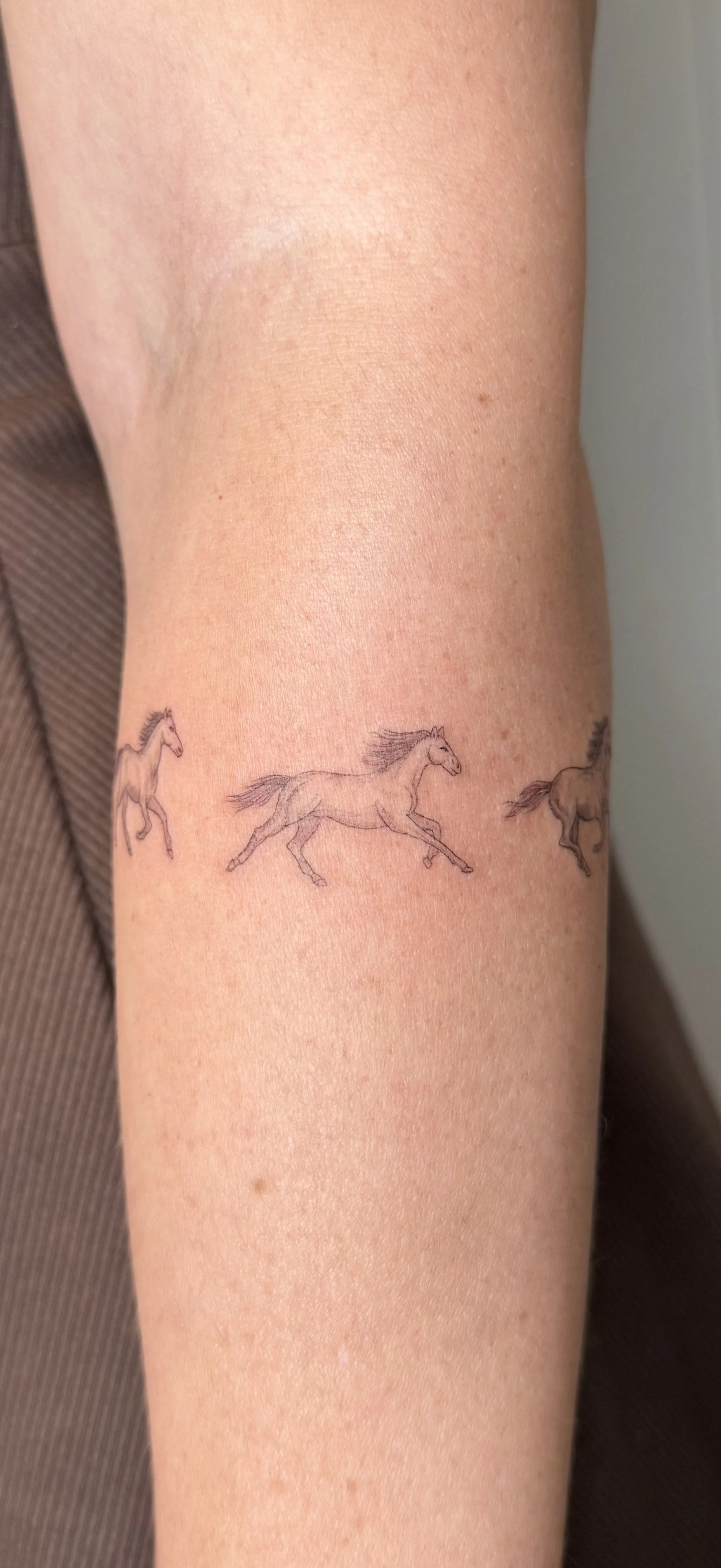 Horse realism.jpeg