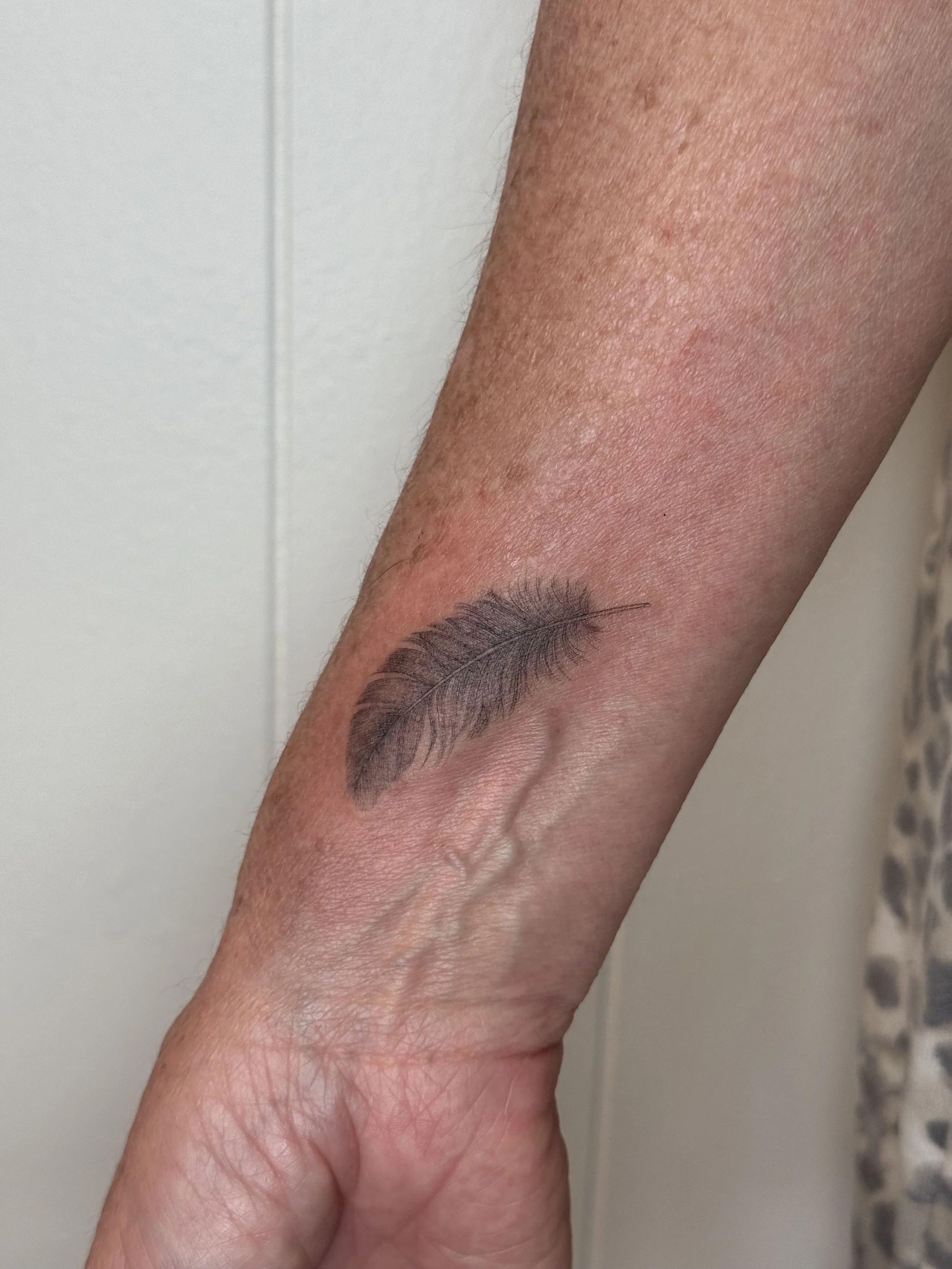 Feather realism.jpeg