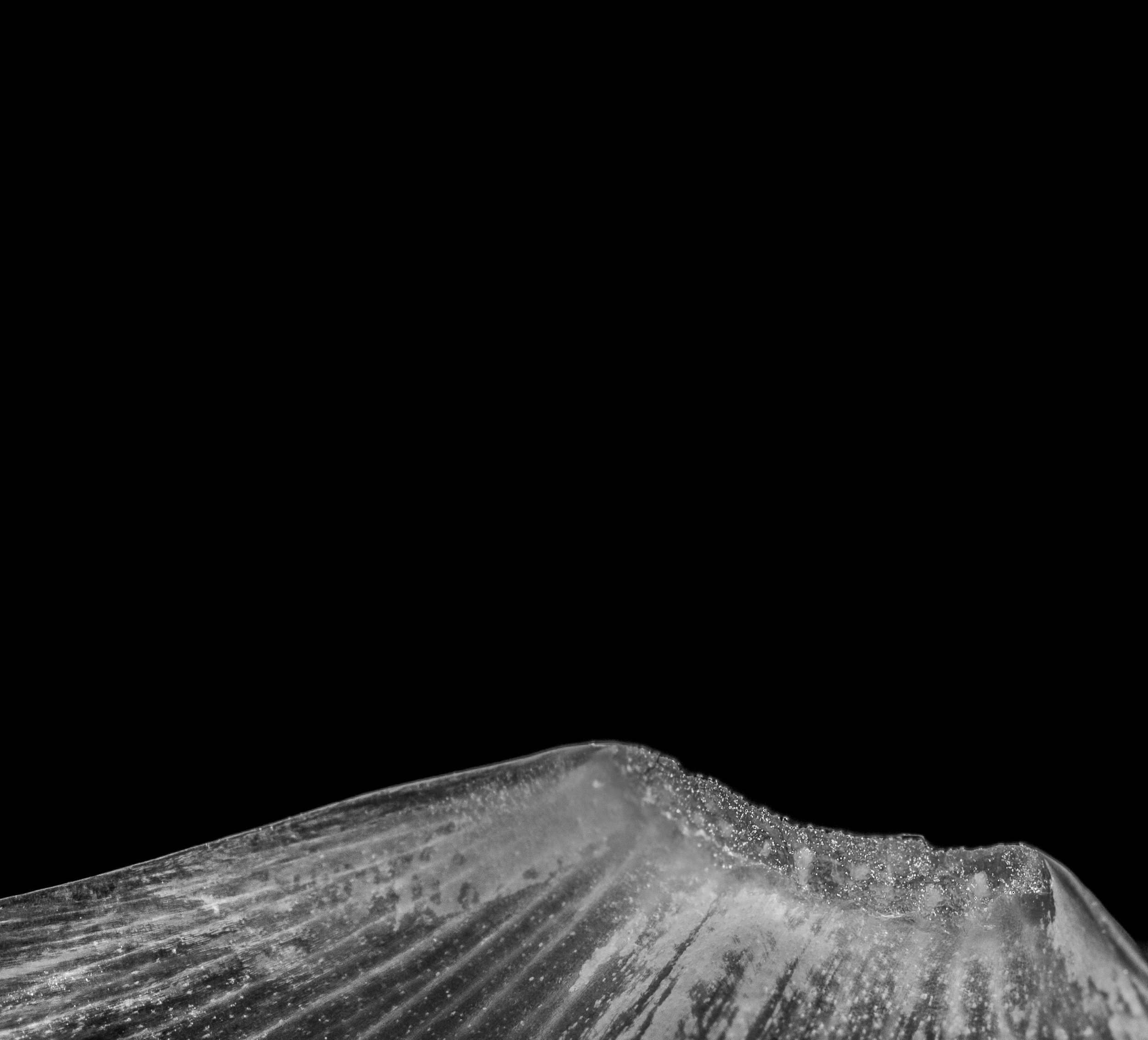 01 / Form + Image