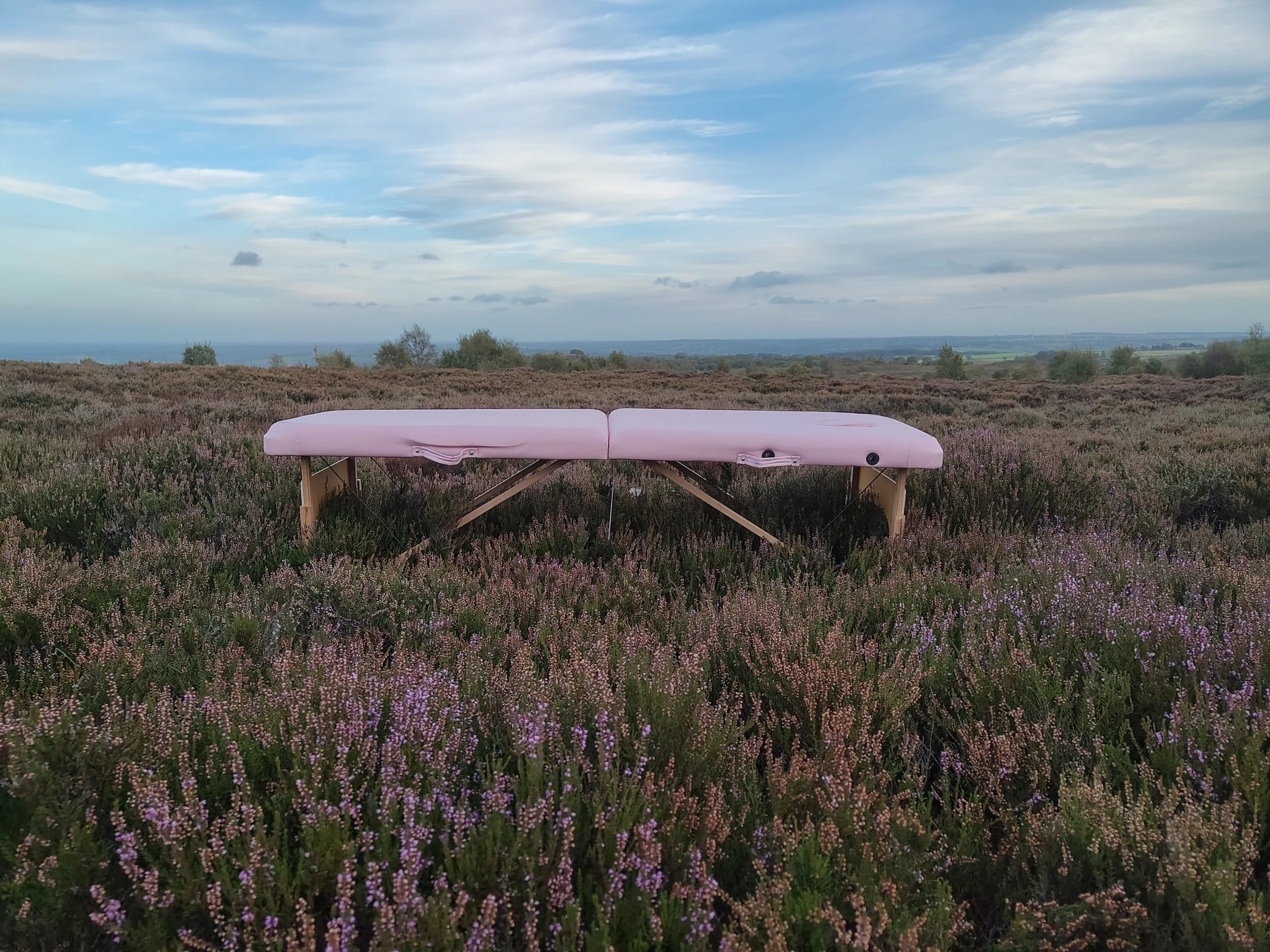 View of a pink massage or treatment table in a field of purple flowers, with trees and a cloudy sky in the background.