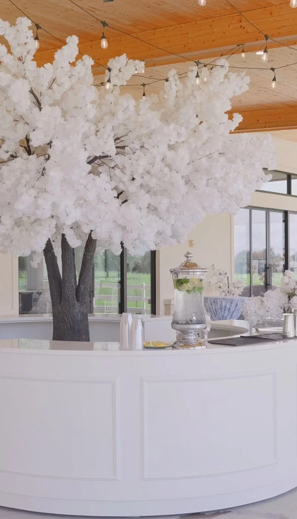 Indoor scene with a large artificial white tree, string lights hanging from the wooden ceiling, and glass walls in the background.
