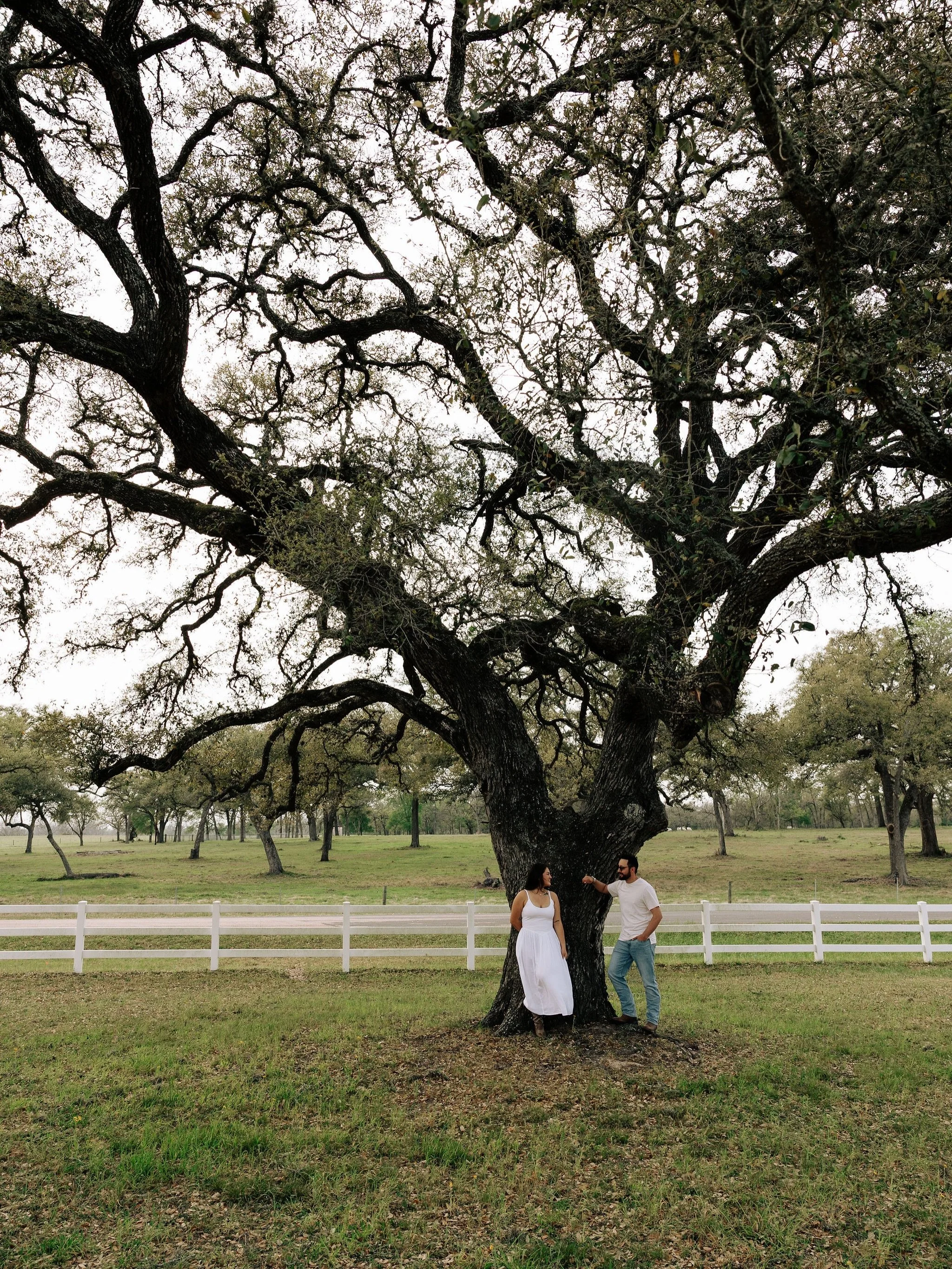 Fall at Ro Manor looks a little like this.🤍
Slow afternoons beneath the oaks, longhorns making an appearance, breezy days on the Veranda, and plenty of beautiful corners for engagement photos before the wedding day even arrives.

Looking for a Fall 