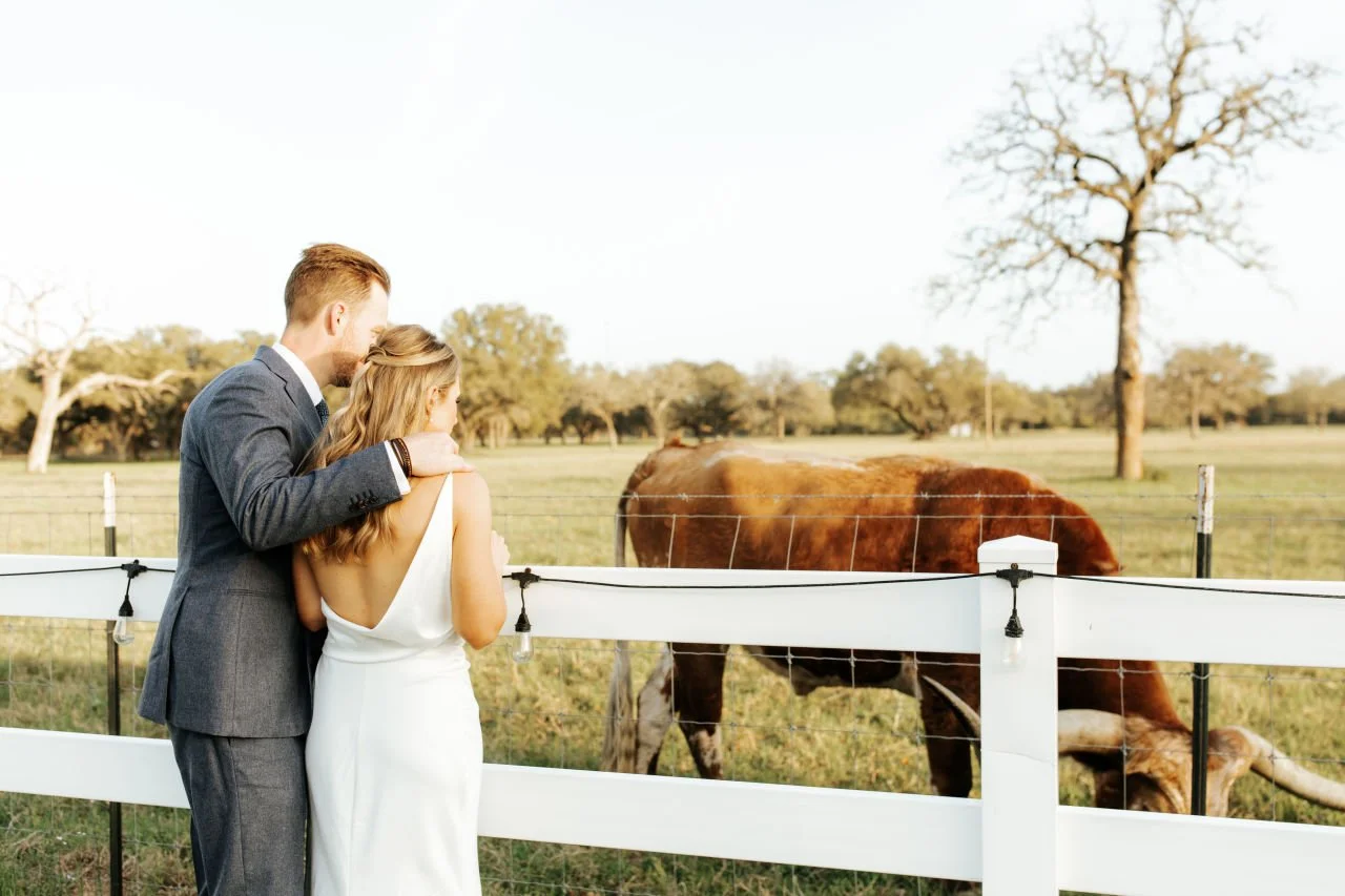 A couple dressed for their wedding standing by a white fence, looking at a longhorn grazing in a field with trees in the background.