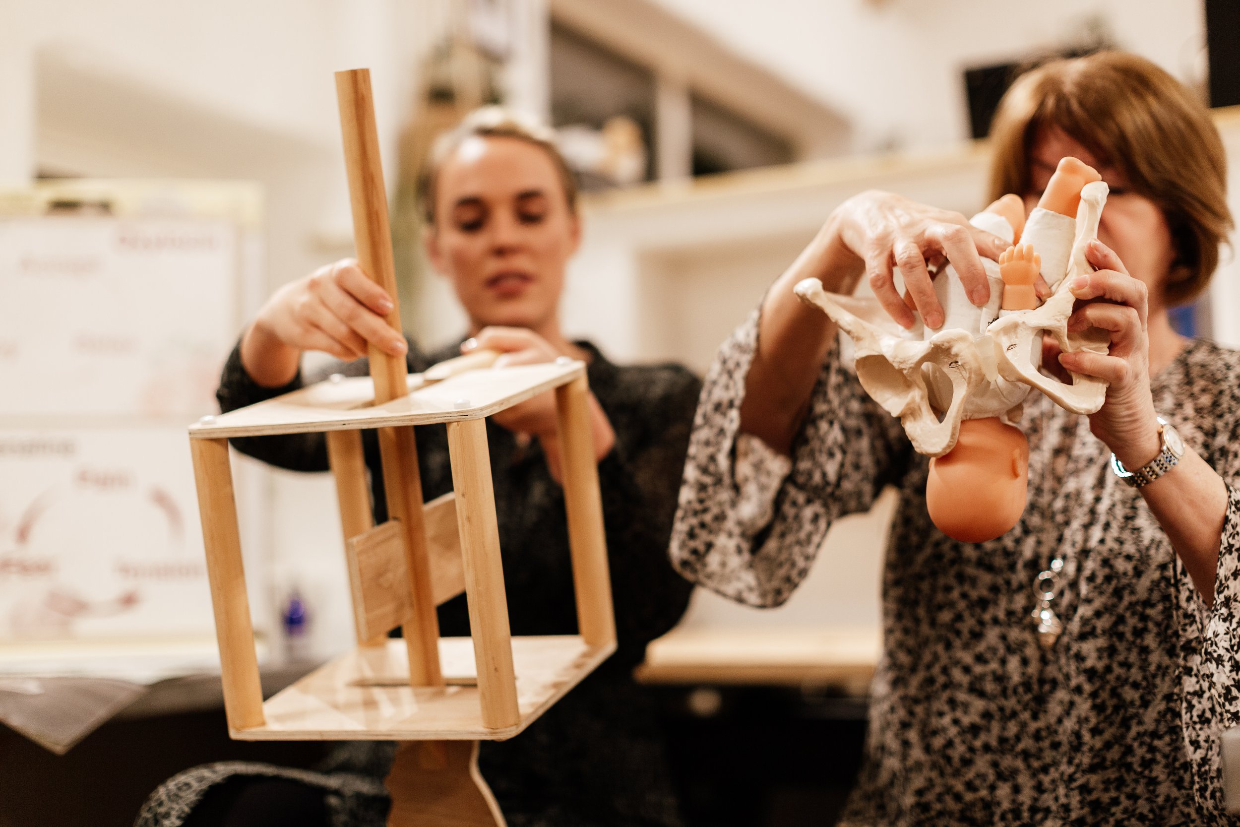 Two women examining a pelvic anatomical model with a wooden structure in the foreground.