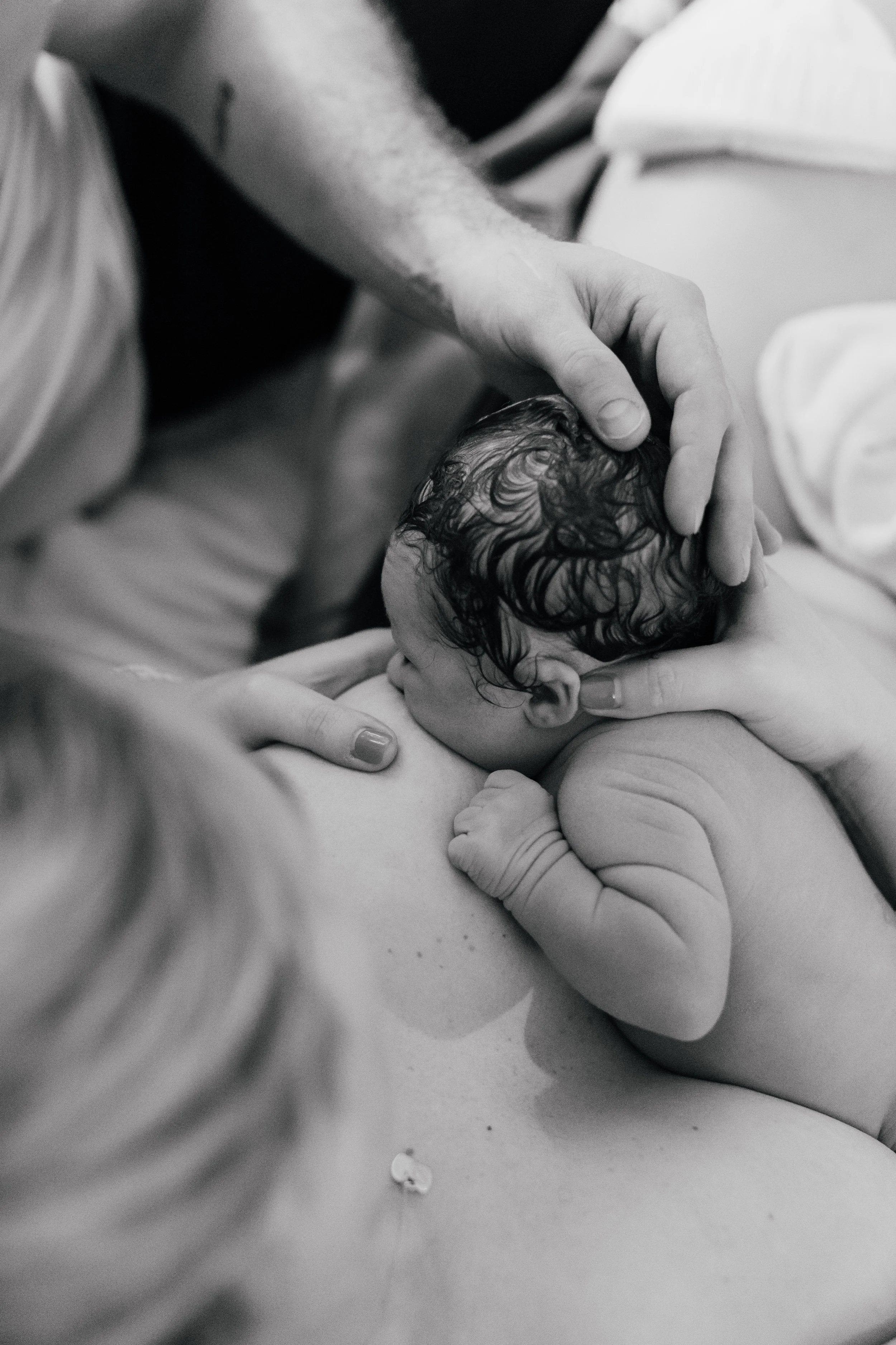 A close-up black and white photo of a newborn baby being cradled by an adult, with the adult's hand gently supporting the baby's head.