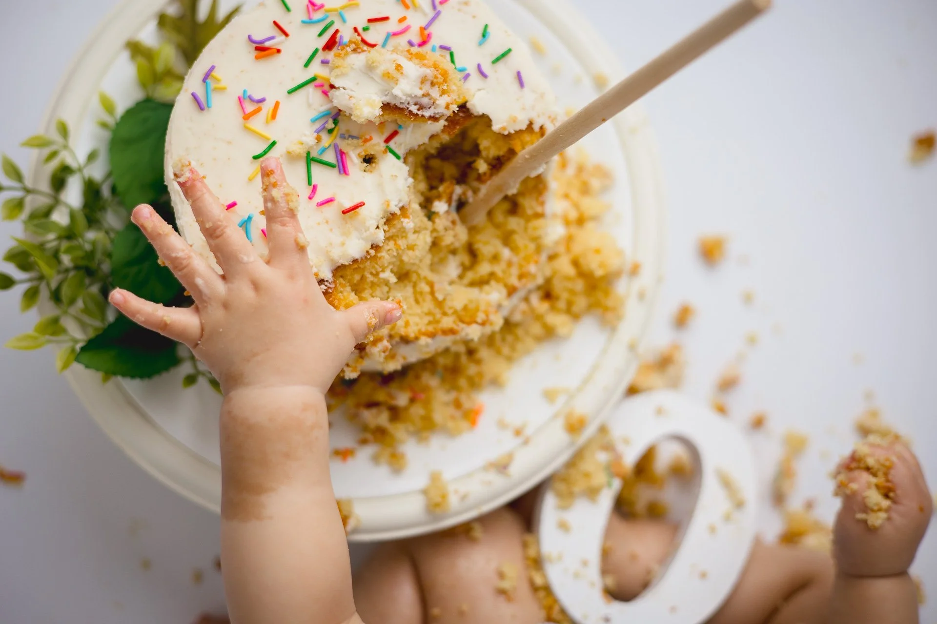 cake smash session little hand reaching for a cake that is already half destroyed shot from above