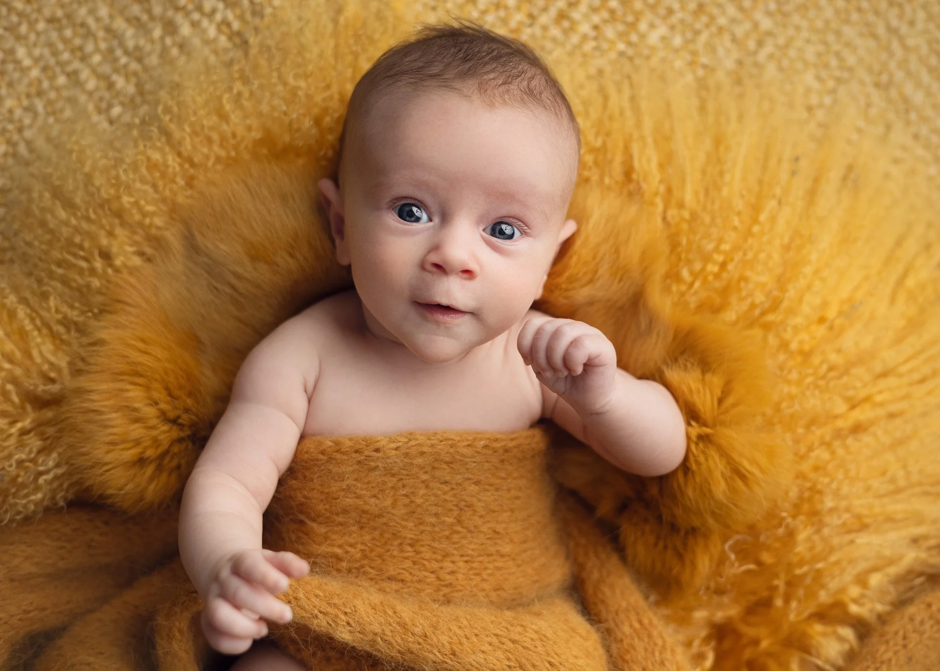 Adelaide_alesha-297-Edit-Edit.jpg