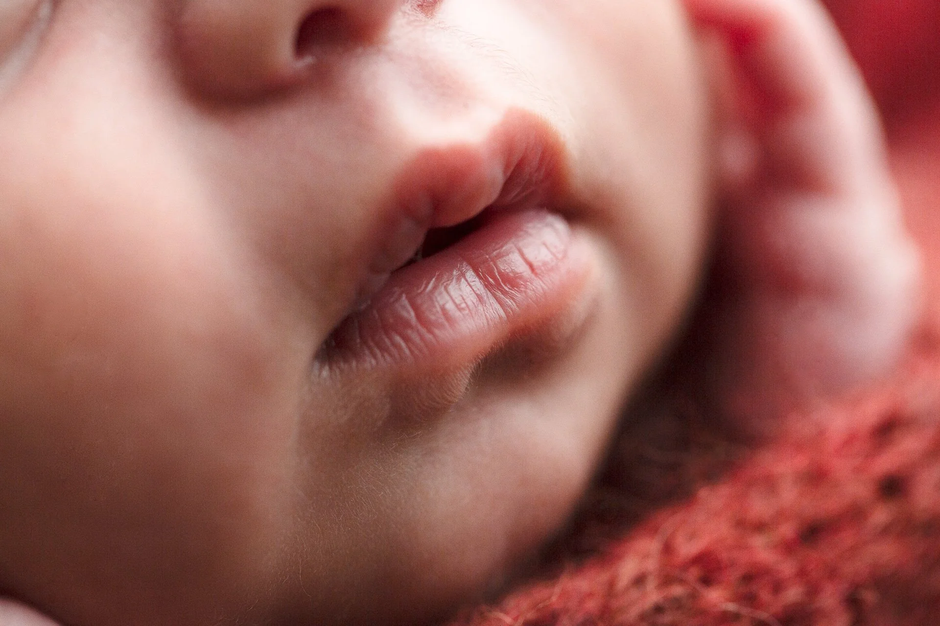 Amara_macro-31-Edit.jpg