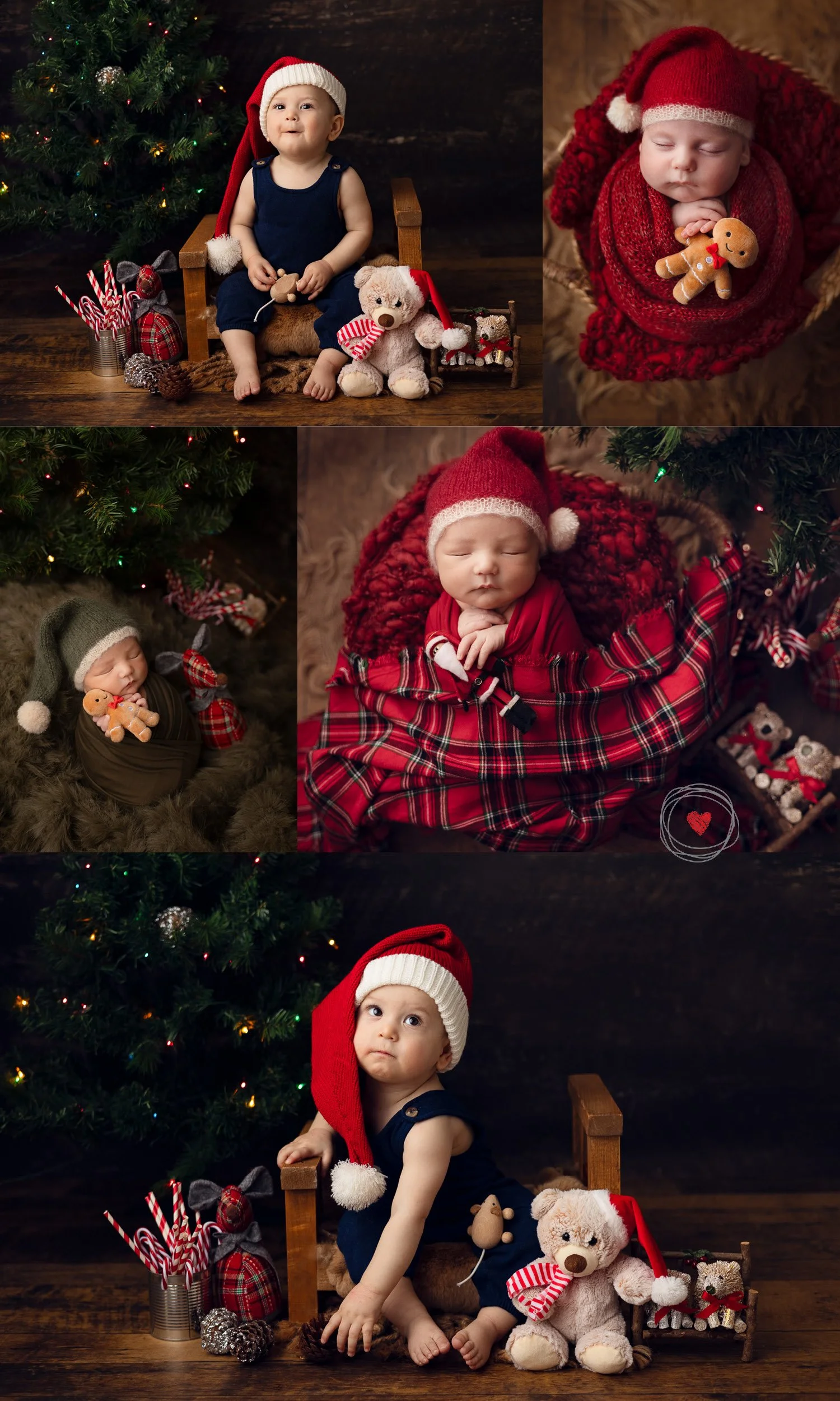 XMAS mini sessions victoria bc 2026. Babies and newborns dressed in Chrismas outfits for xmas portraits