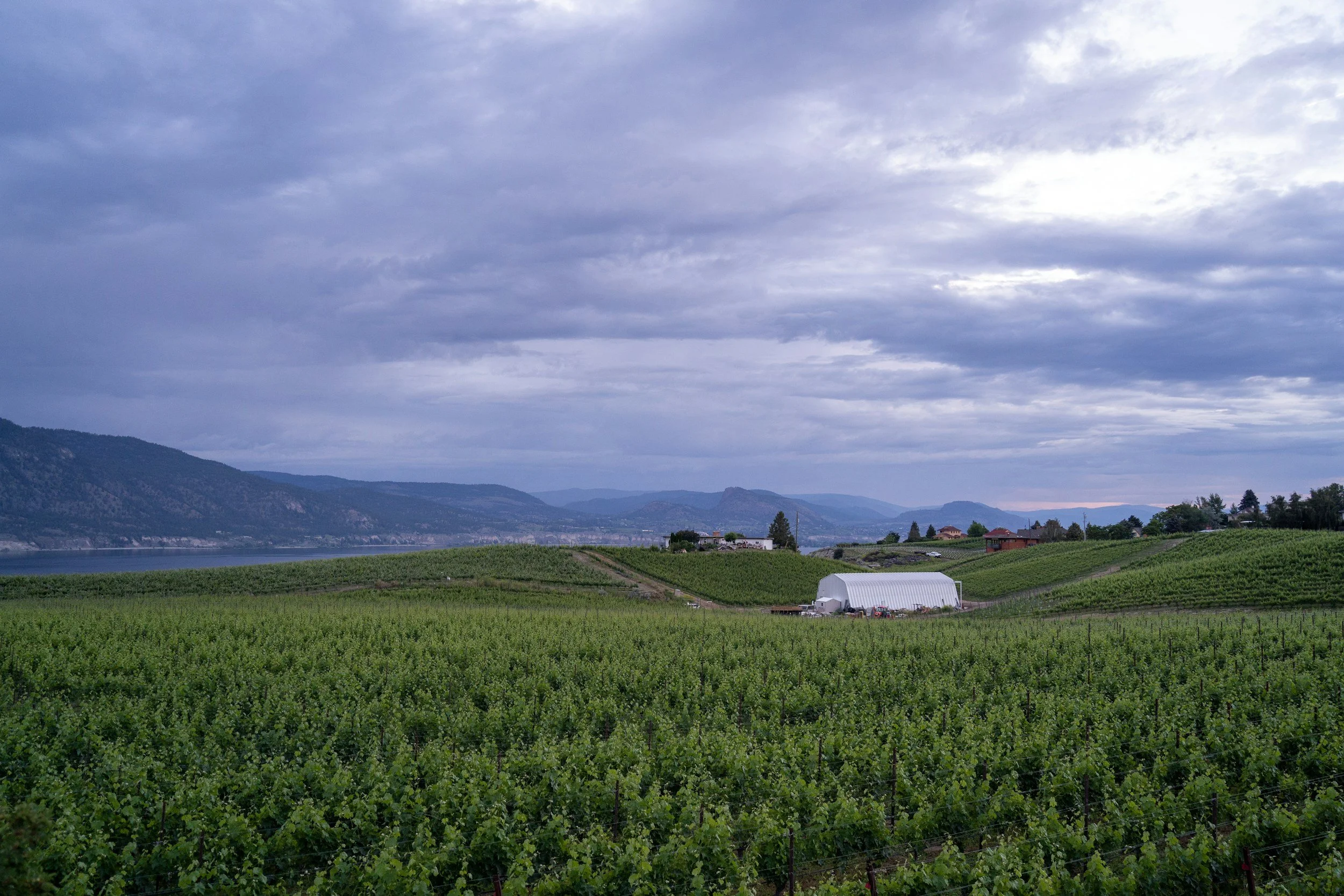 Farming, Defined:&nbsp;A Field Guide to the Income Tax Act for Okanagan Growers, Vintners, and Weekend Ranchers&nbsp;