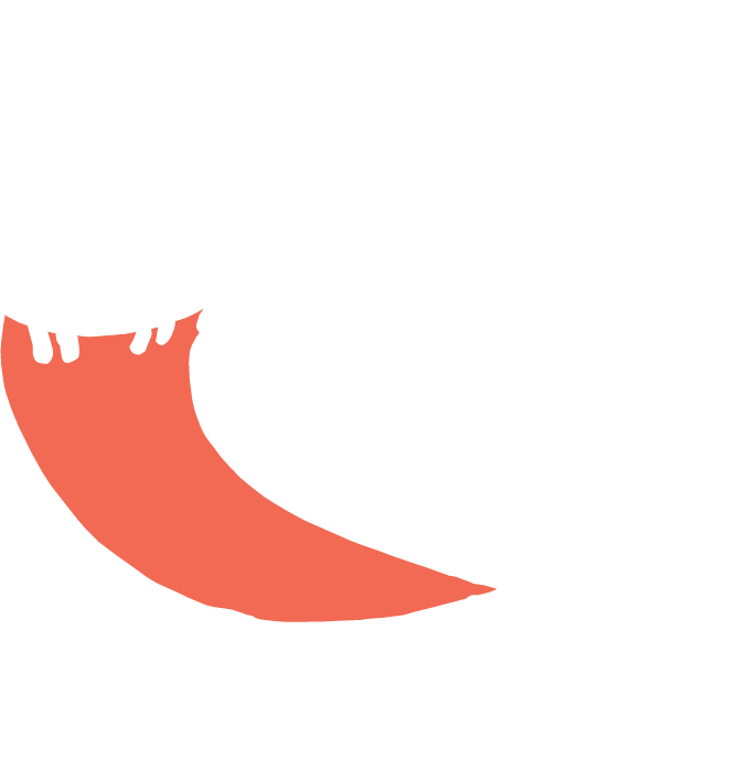 Robin Labs