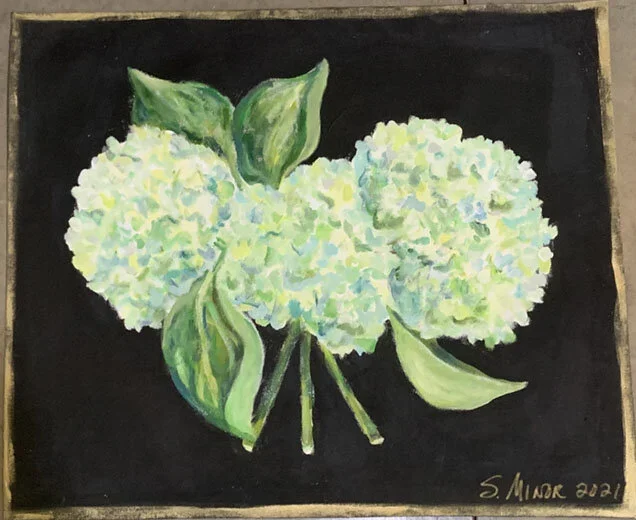 Painting of a cluster of light green hydrangea flowers with green leaves on a black background, signed by S. Minor in 2021.