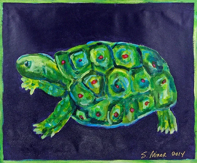 Turtle_on_navy.jpg.webp