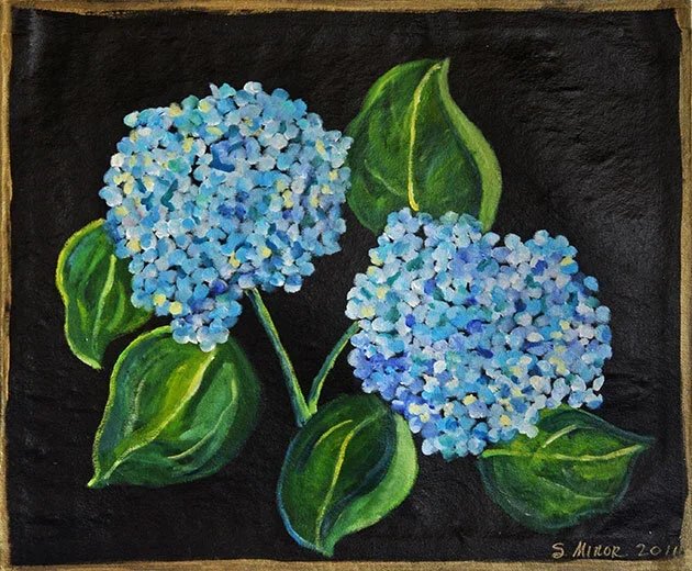 Painting of two blue hydrangea flowers with green leaves against a black background.