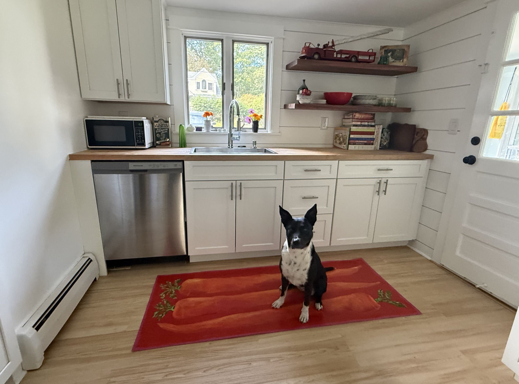 Kitchen with Hand-painted canvas runner of carrots on red background