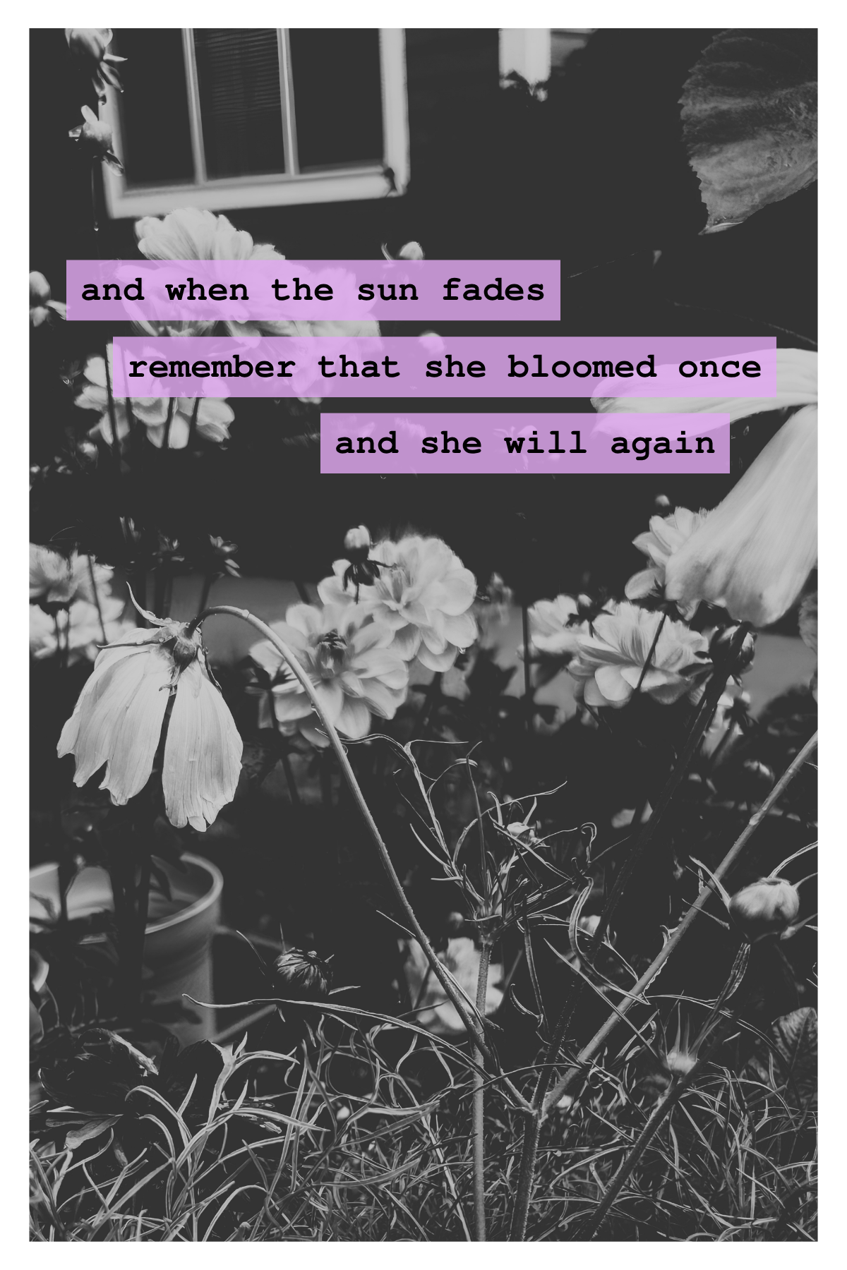 She Bloomed Once 8:26.png