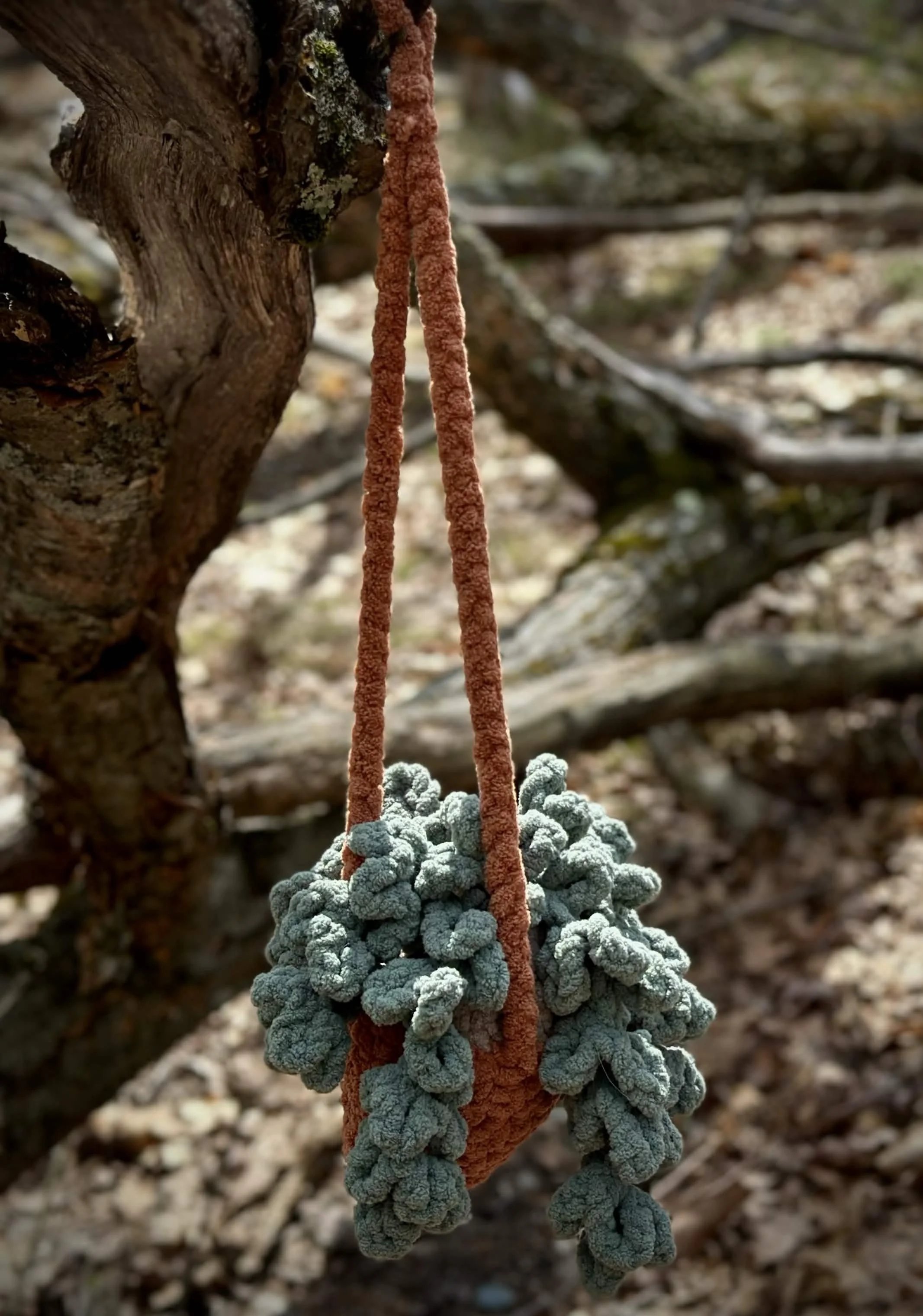 plants1.jpg