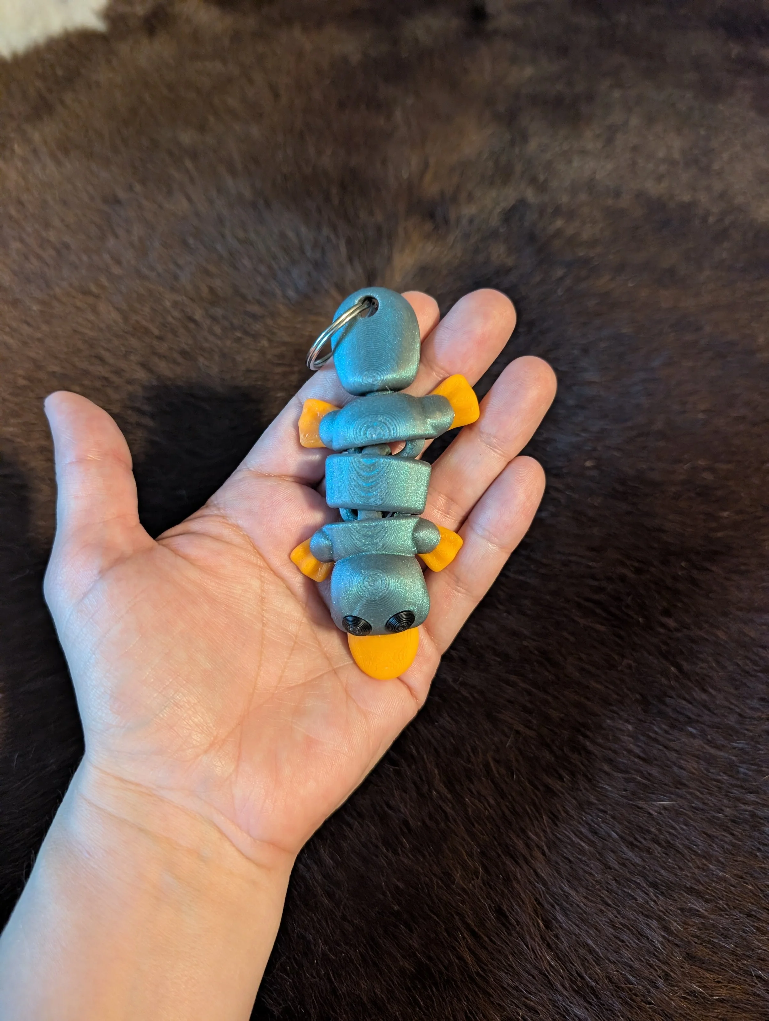 PXL_20260927_141321717.jpg