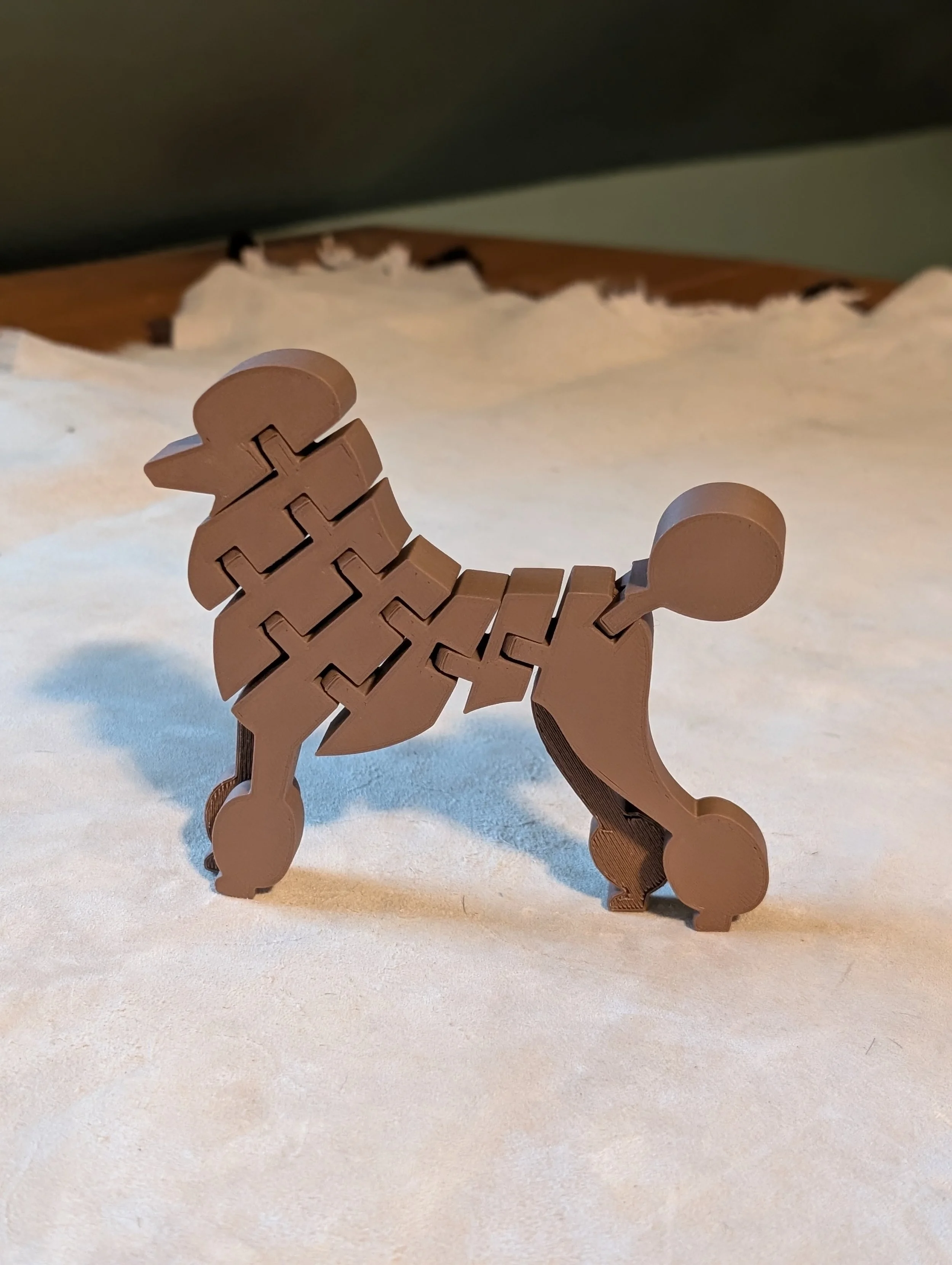 Standard Poodle Fidget