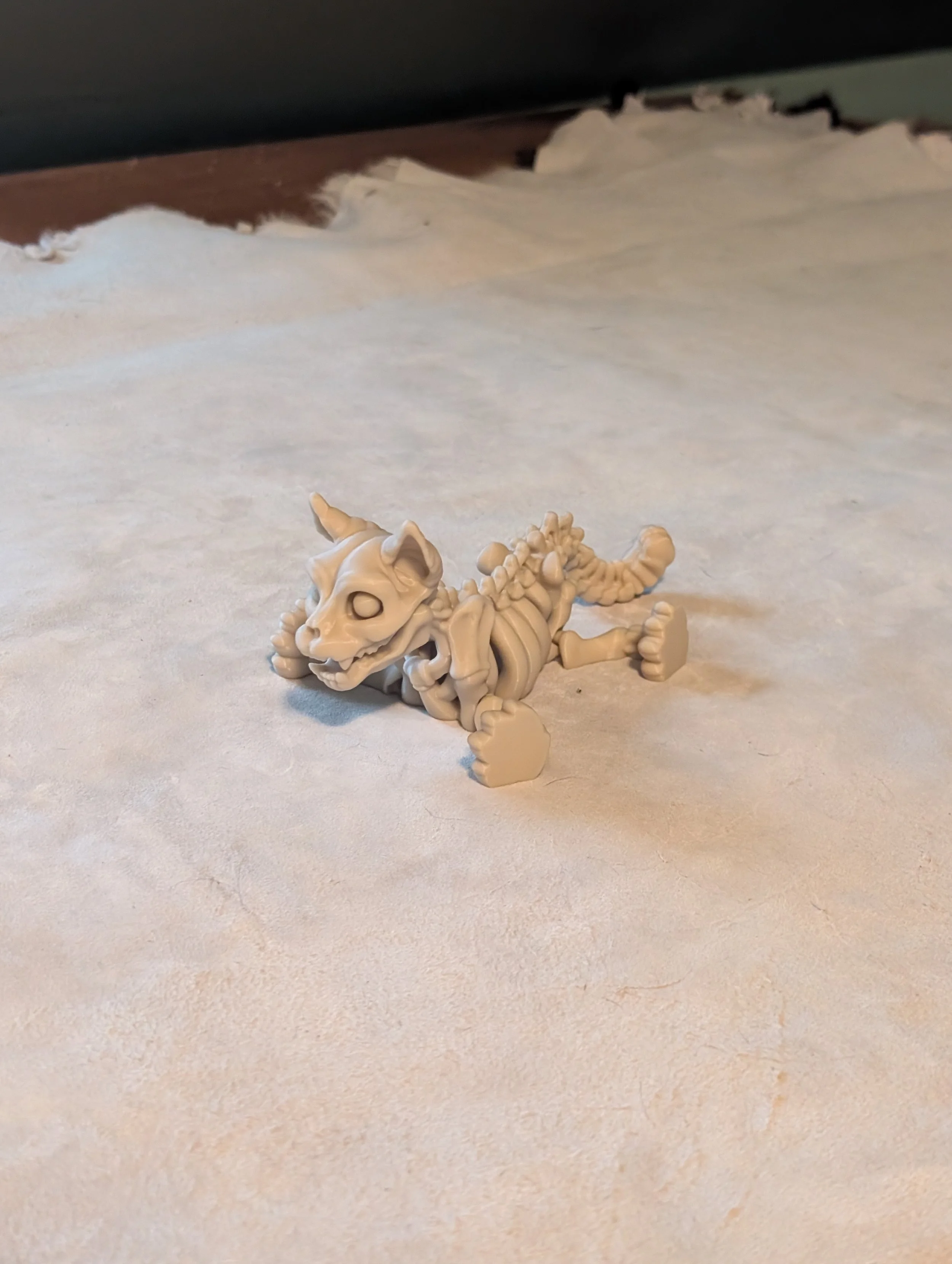 Skeleton Cat