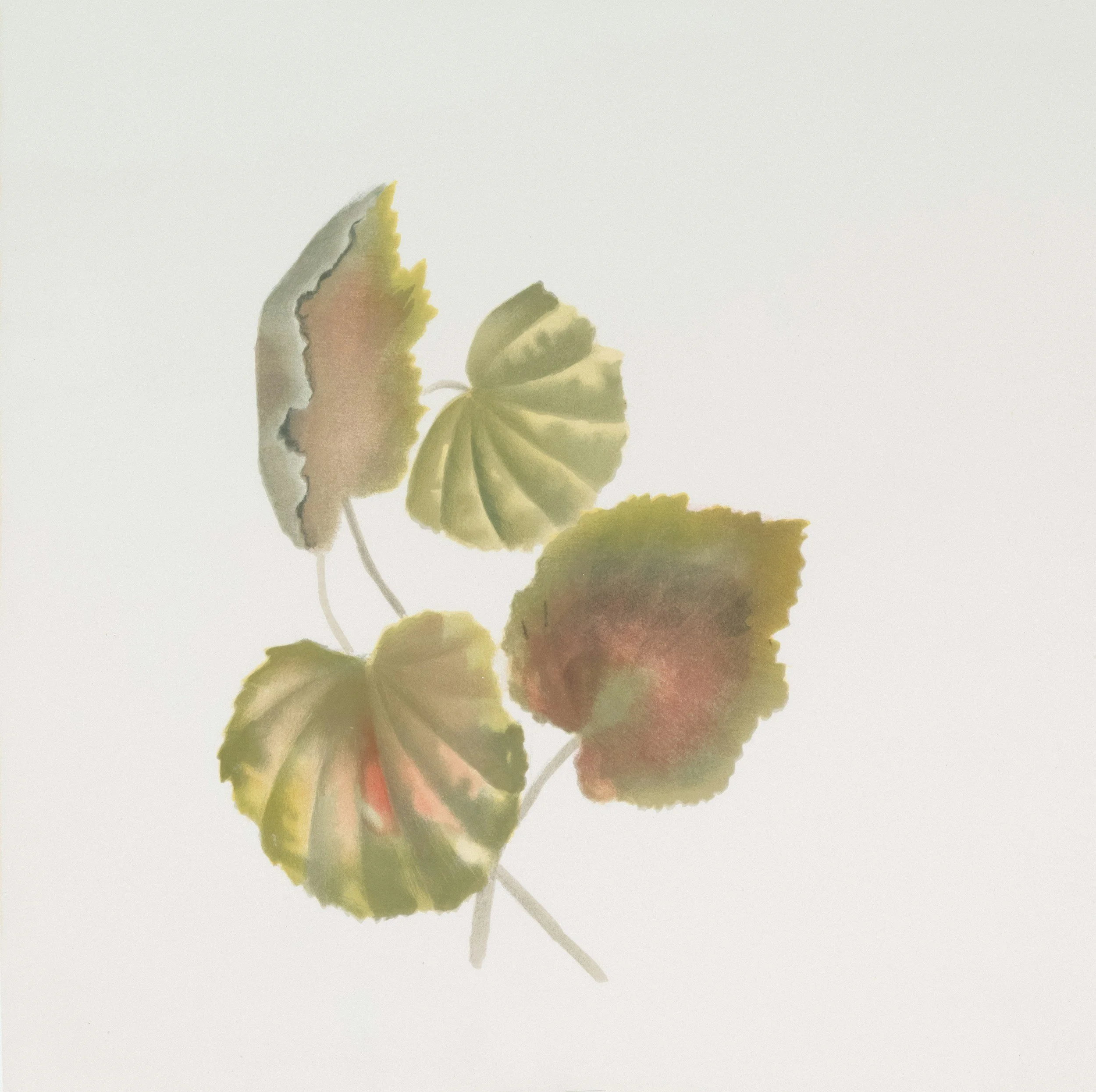 Watercolor painting of a green and yellow butterfly with partially visible wings