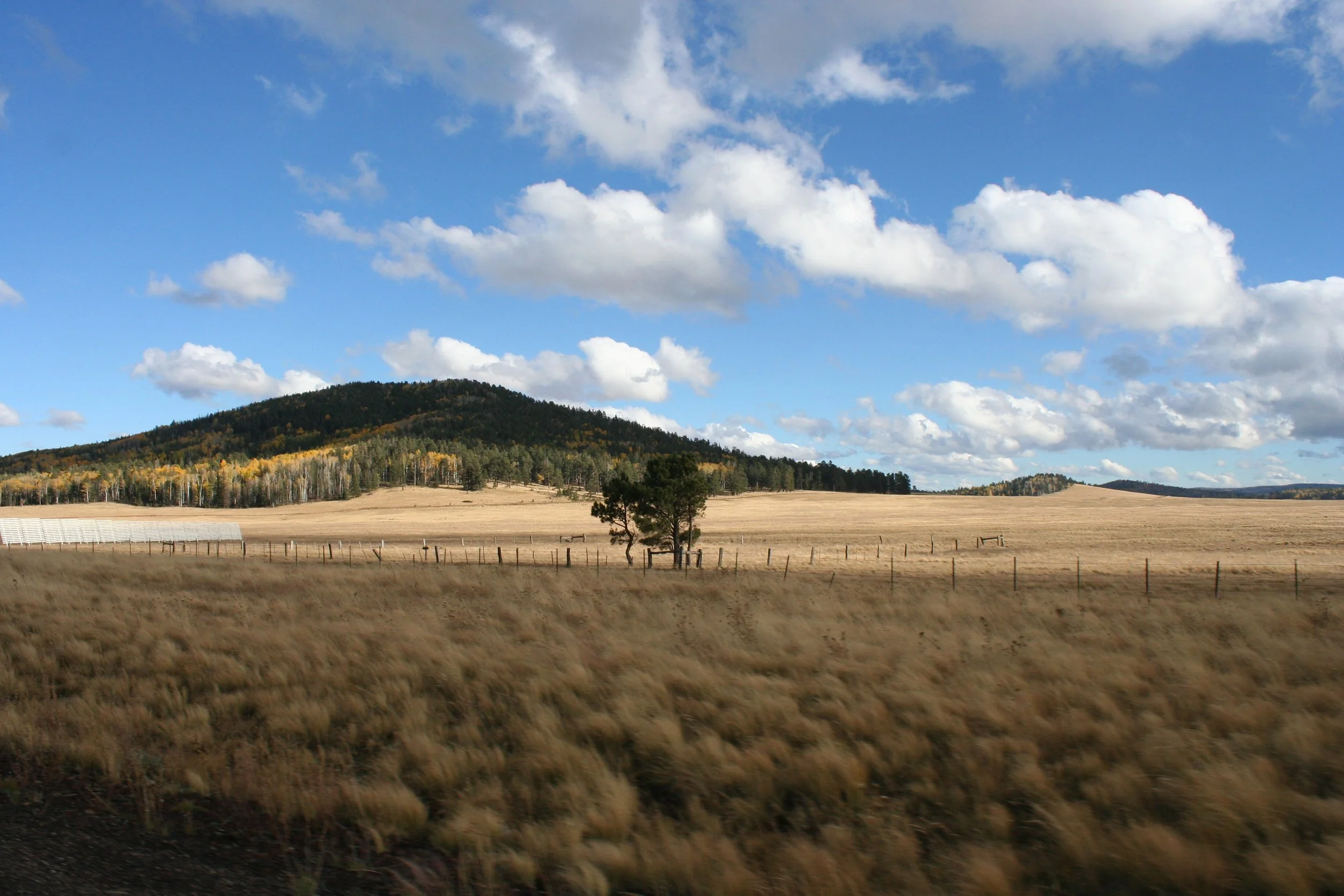A landscape of open fields with a mountain in the background, a few trees, and a partly cloudy sky.