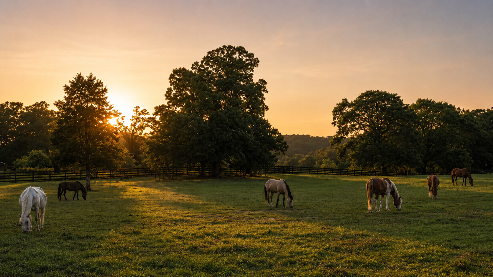 A peaceful pasture at sunset with seven horses grazing near trees and a wooden fence.