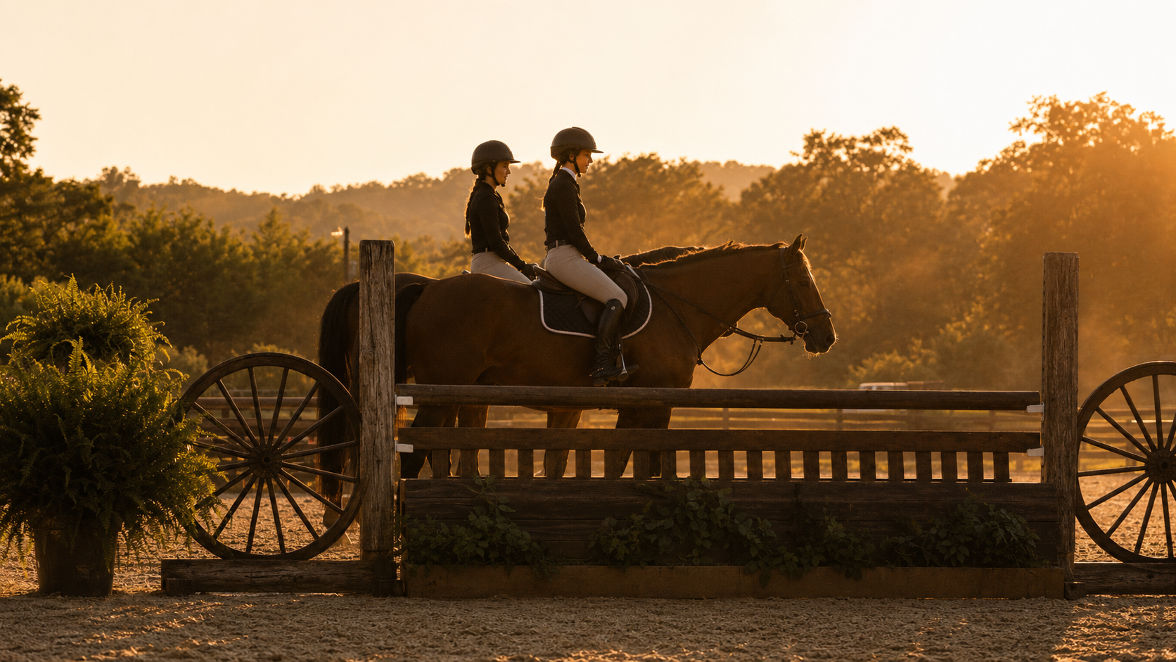 Front hunter arena - Our main ring hunter courses, lessons, and schooling, with good footing and an open view of the property.