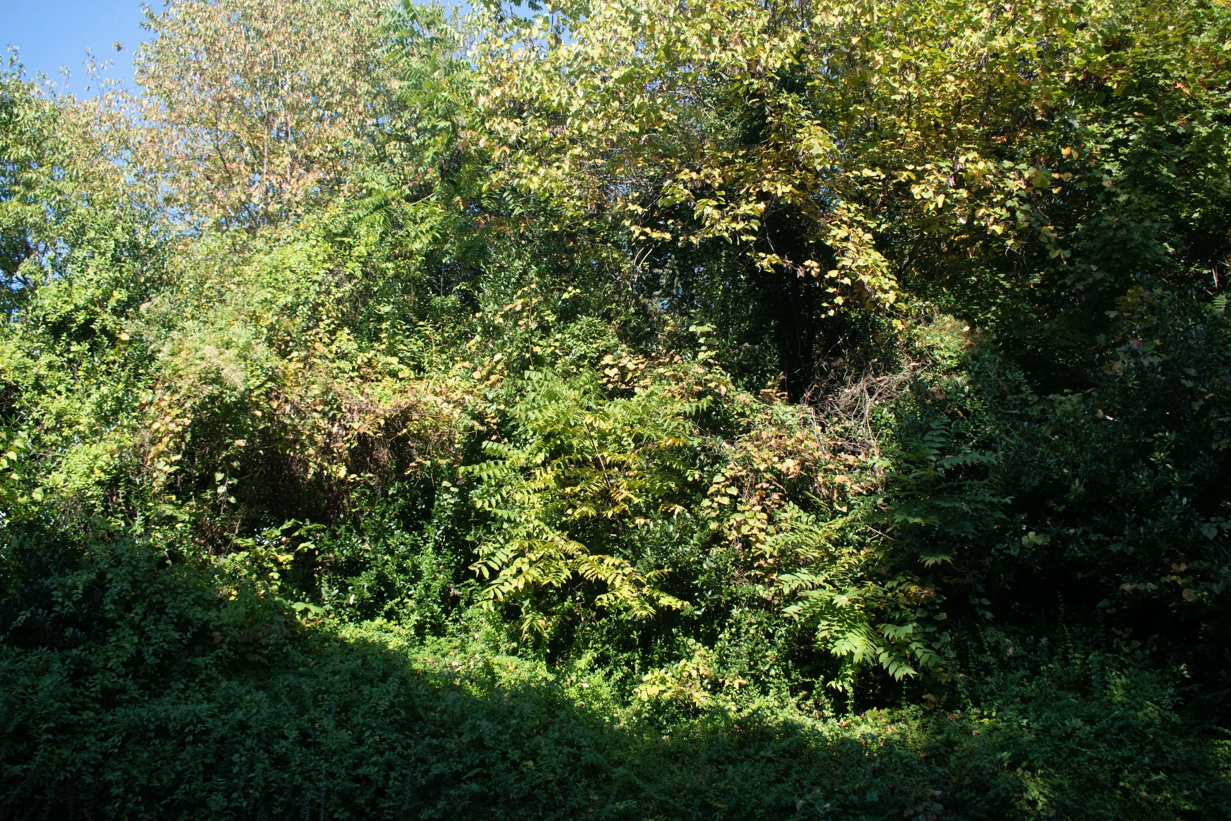 DSC_0775.jpg