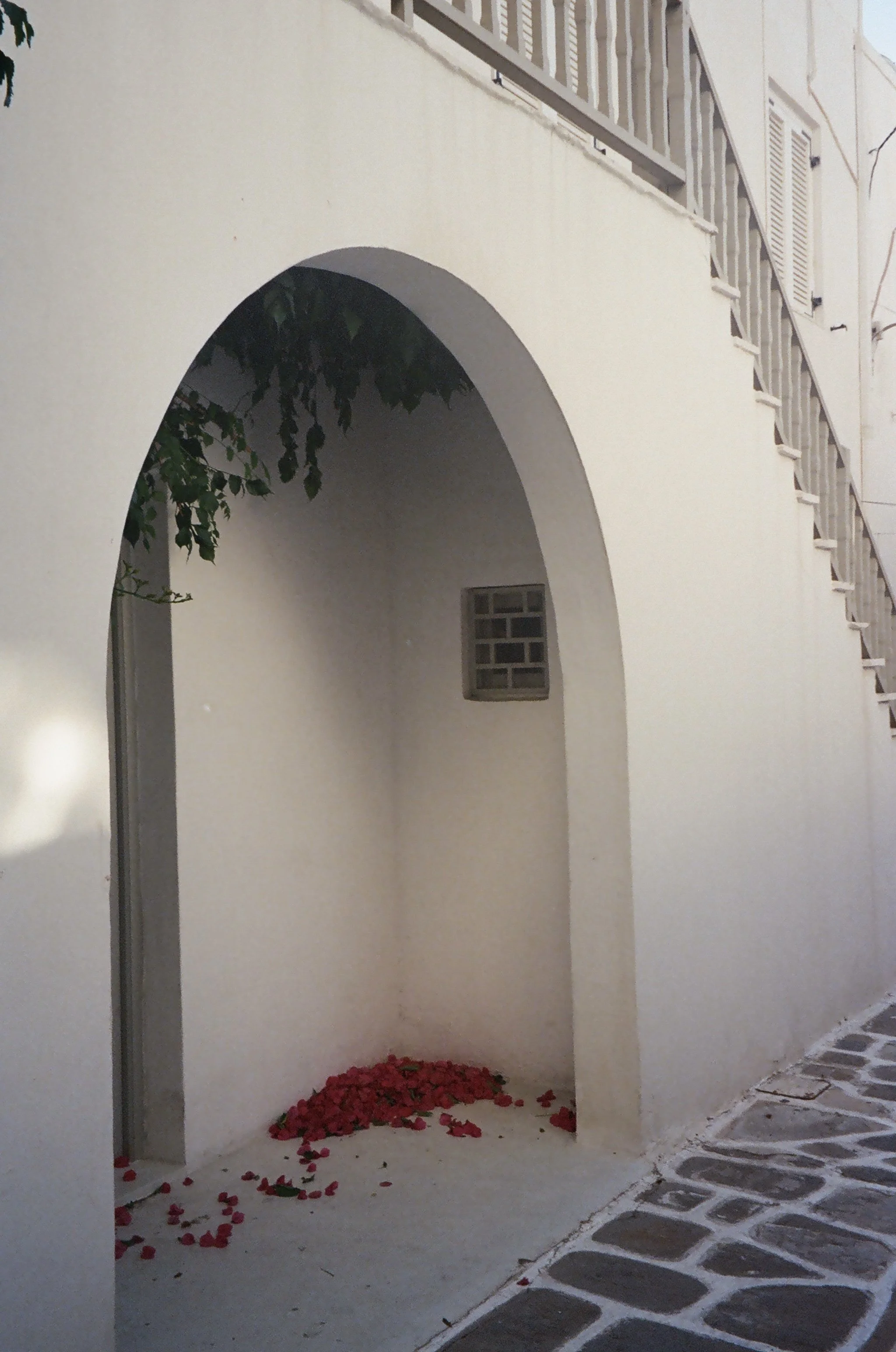 IMG_6074.jpg