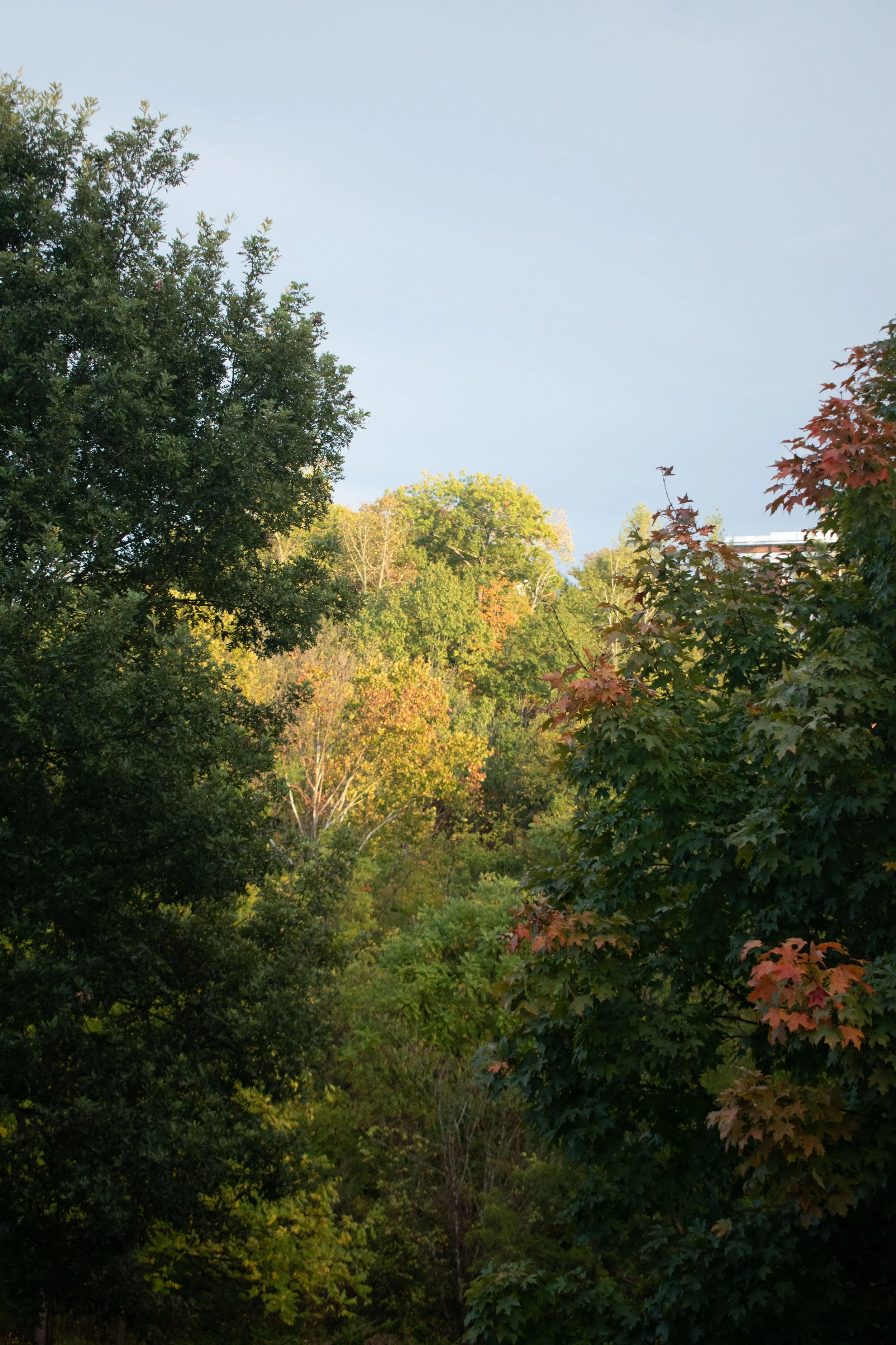 DSC_0879.jpg