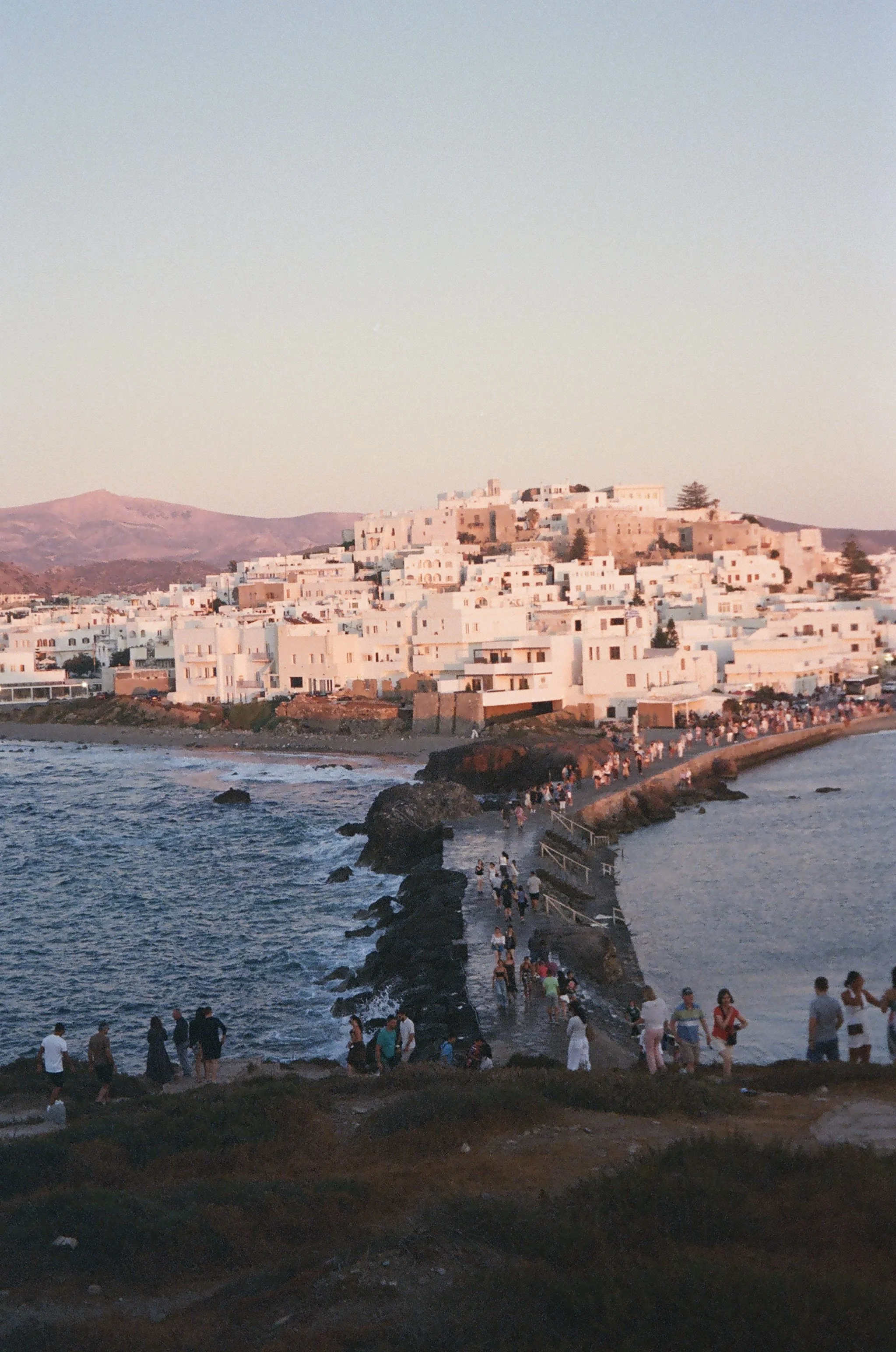 IMG_6088.jpg