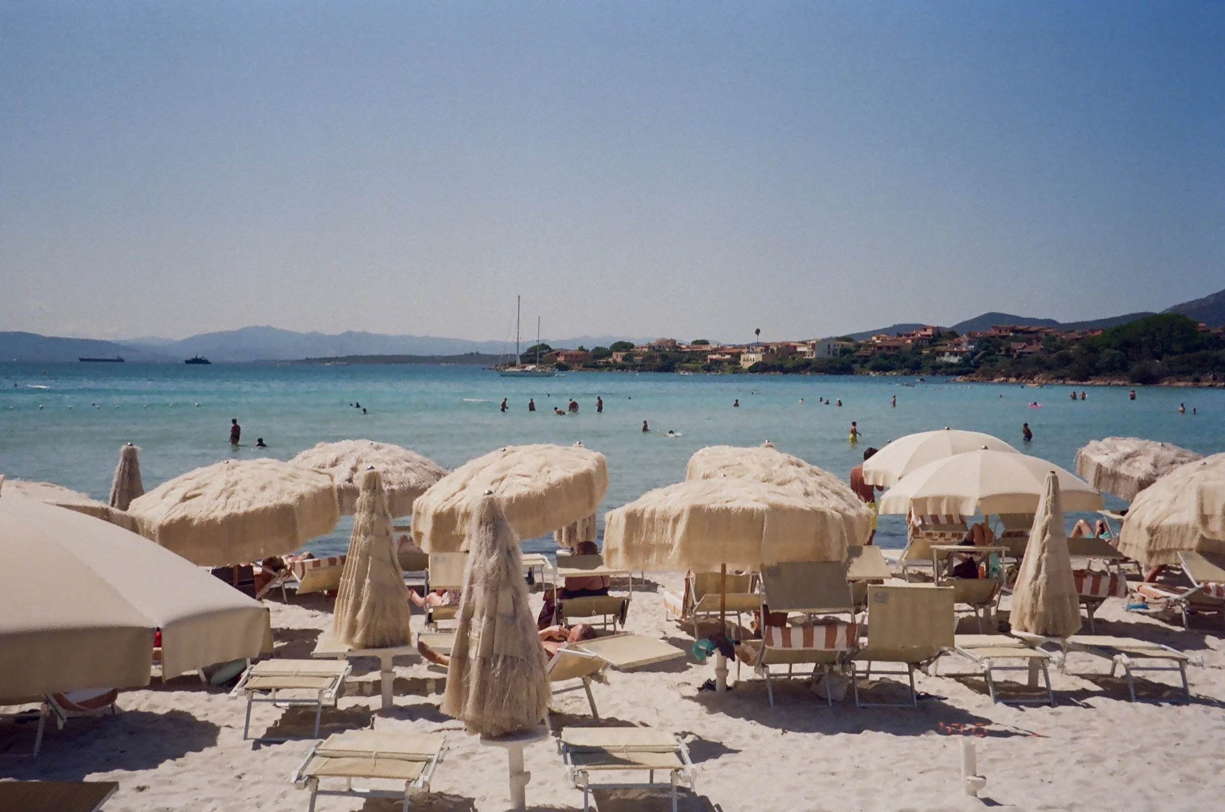 IMG_2628.jpg