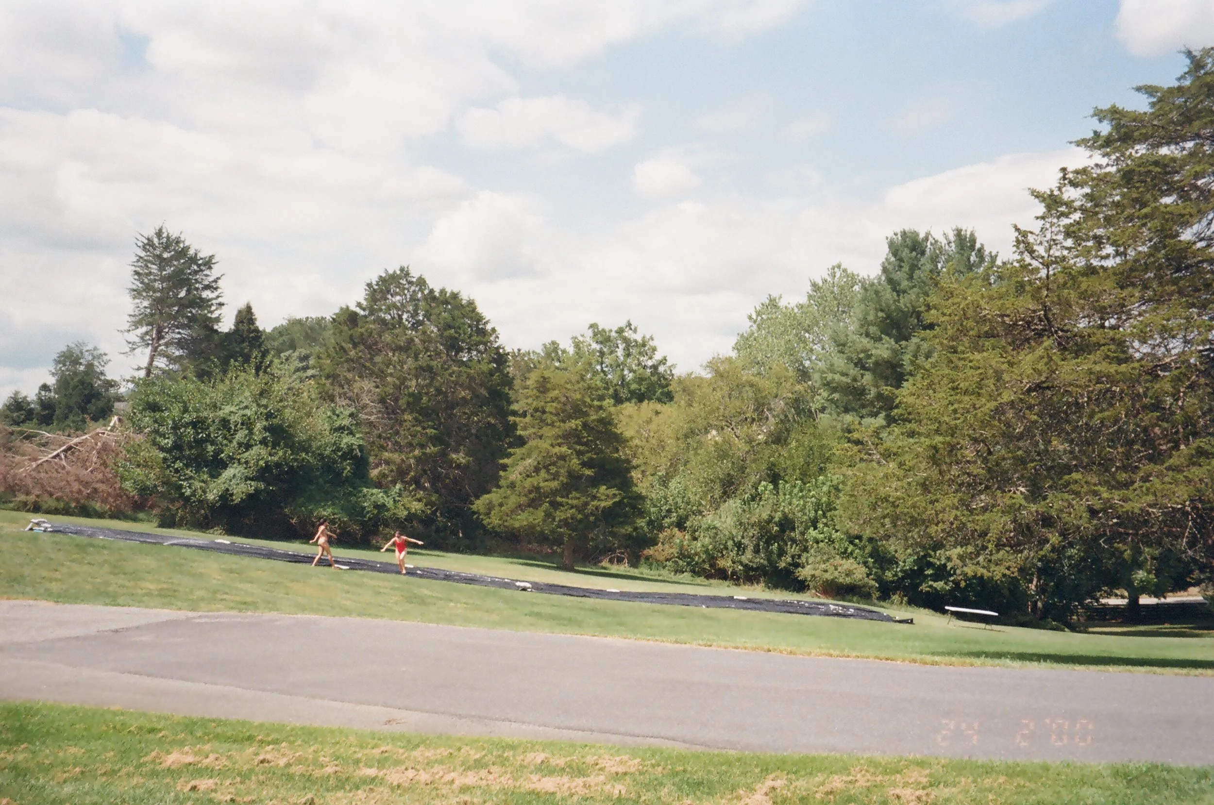 Virginia on Film