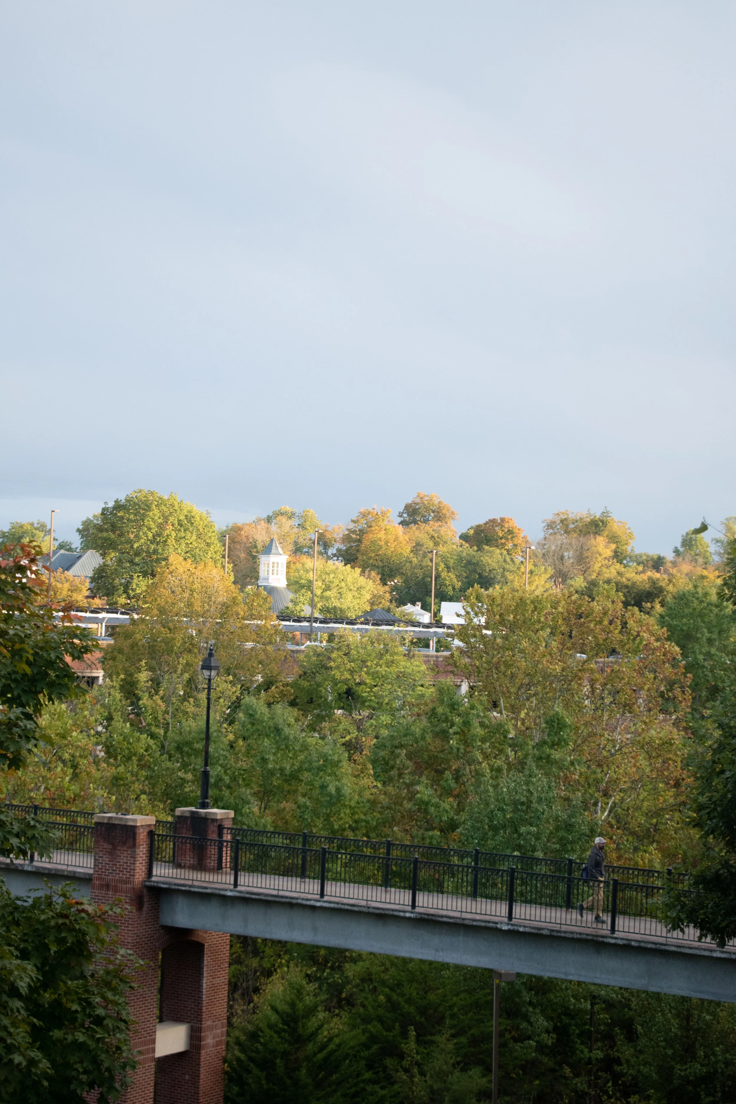 DSC_0865.jpg