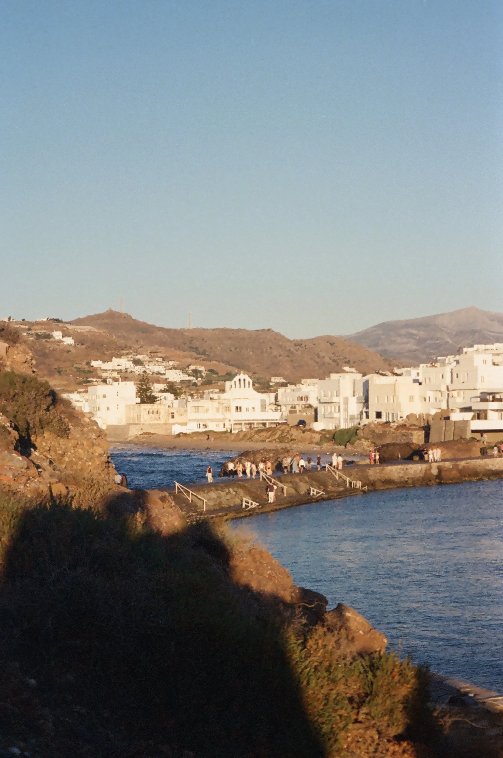 IMG_6086.jpg