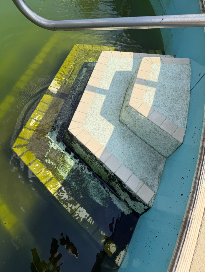 Clean commercial swimming pool maintained by Matter Pools