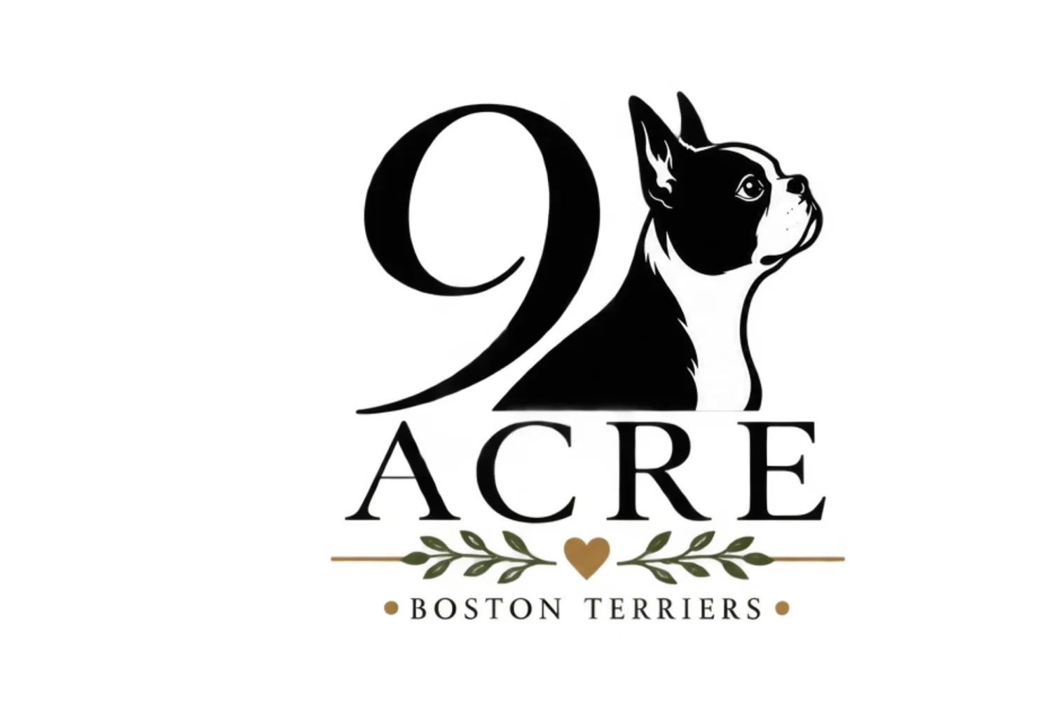 Nine Acre Boston Terriers