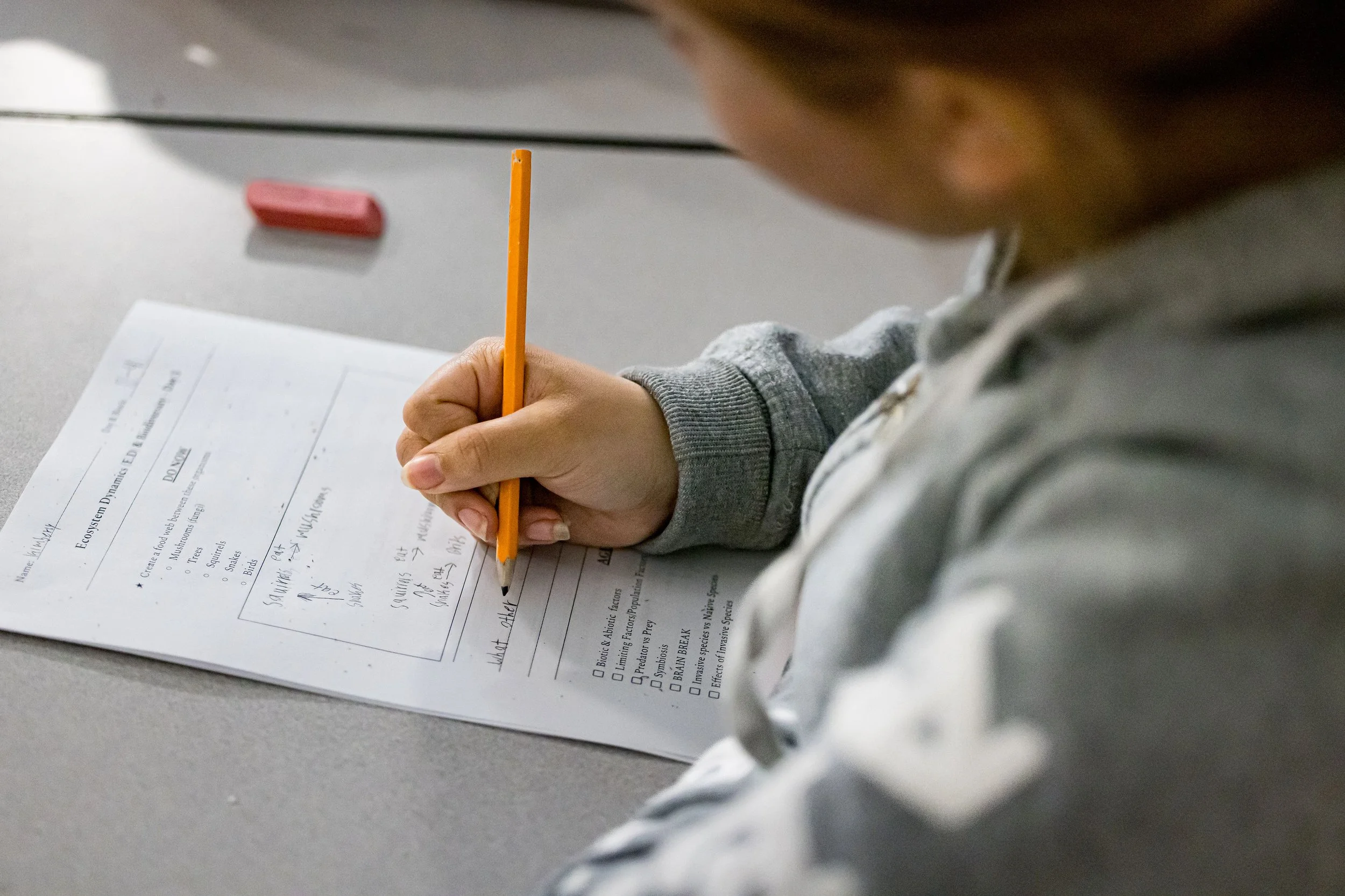 A person writes with a yellow pencil on a paper worksheet at a desk. The worksheet has science-related questions and checkboxes.