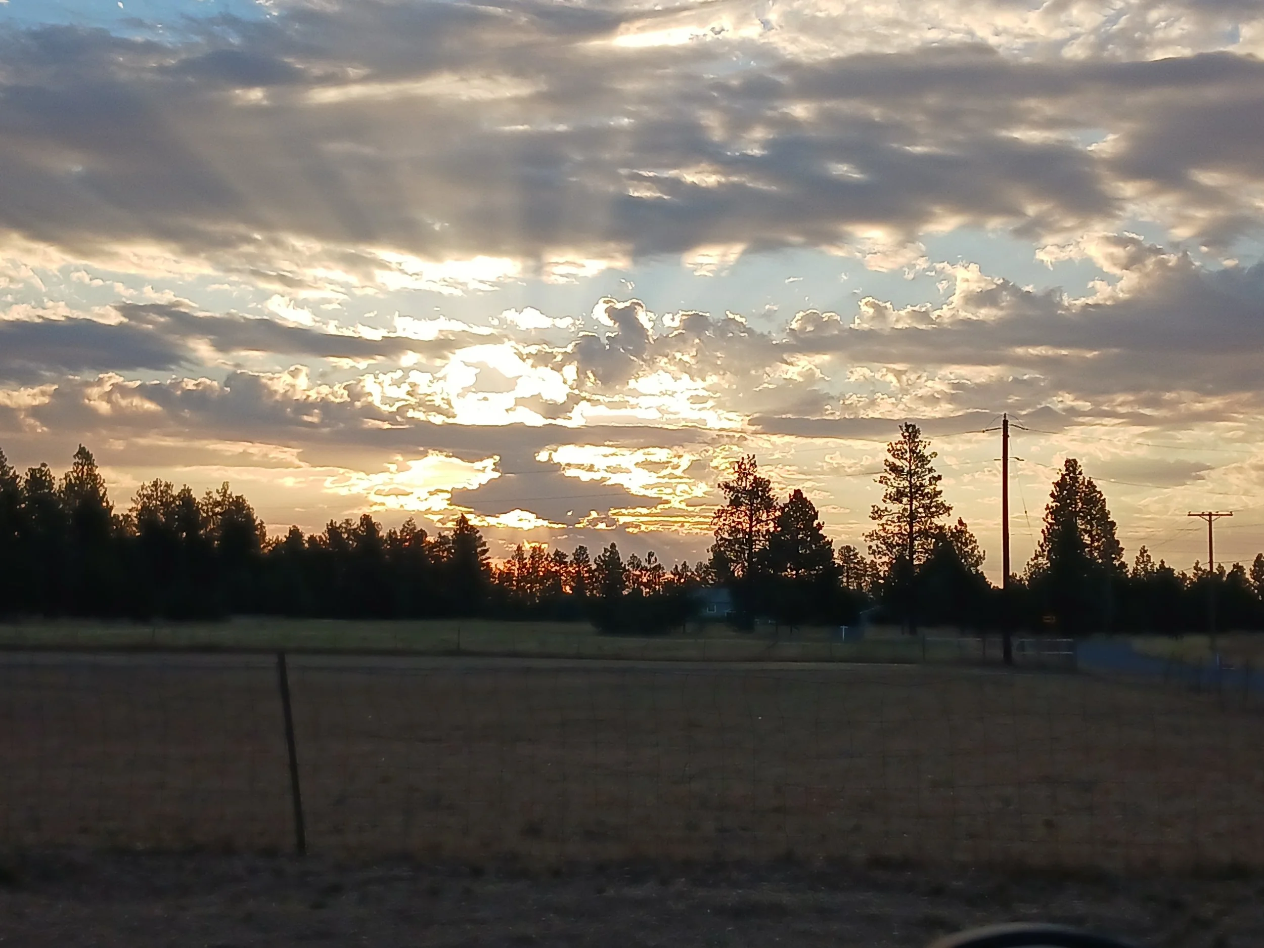 Sunrise at Palouse Pines Homestead