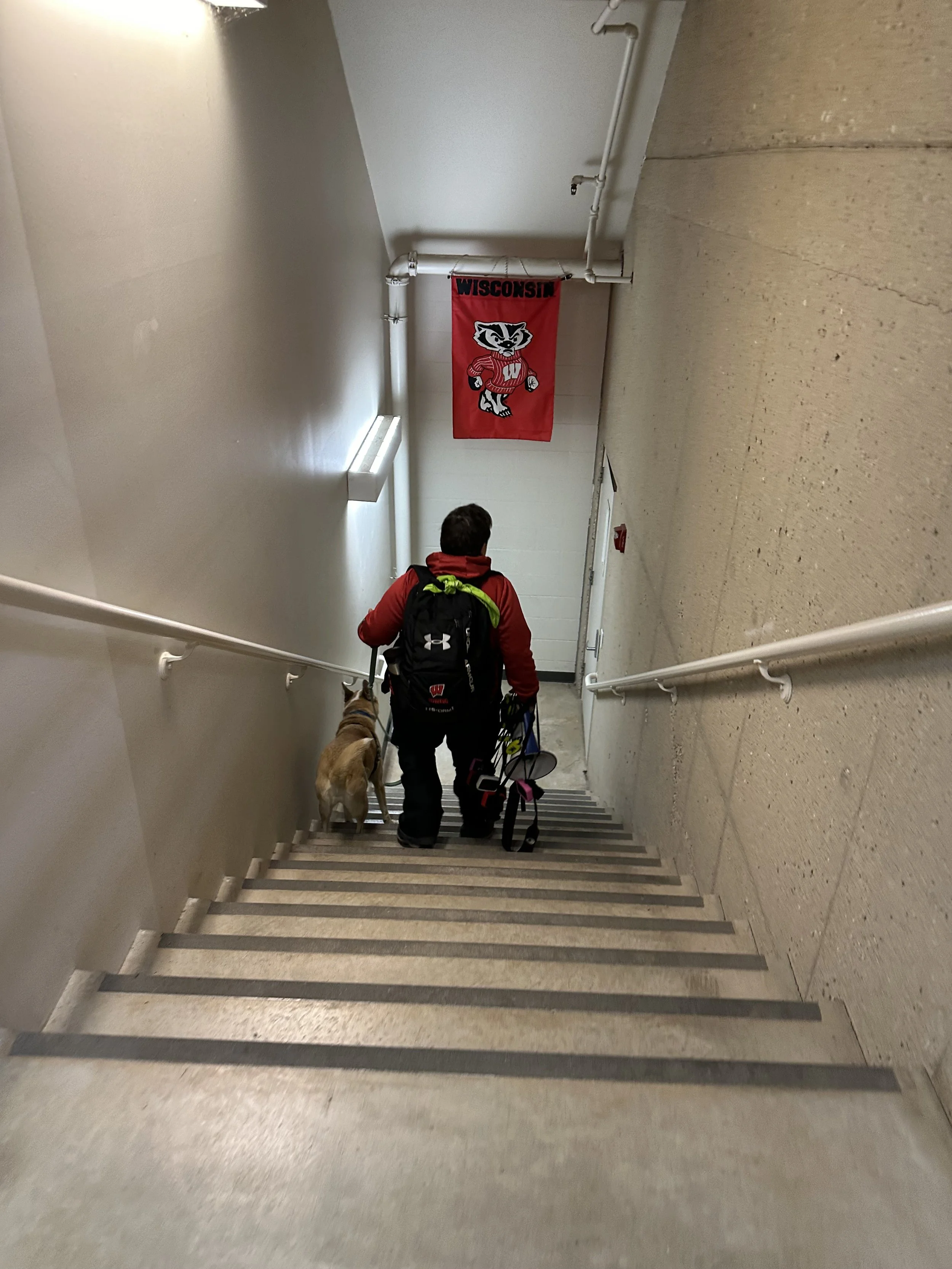 A coach and dog walking to the boat bays at Porter boathouse
