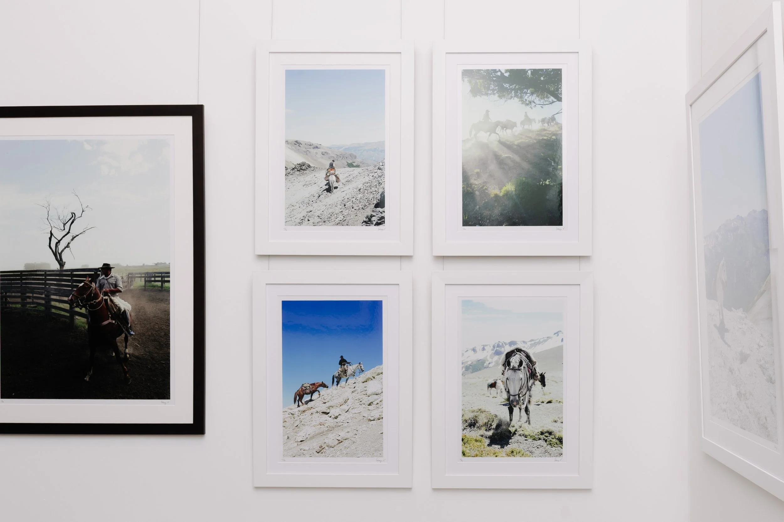 Gallery of framed landscape photographs featuring horses, mountains, and open fields on a white wall. bELONGING, sabaya verger first exhibition