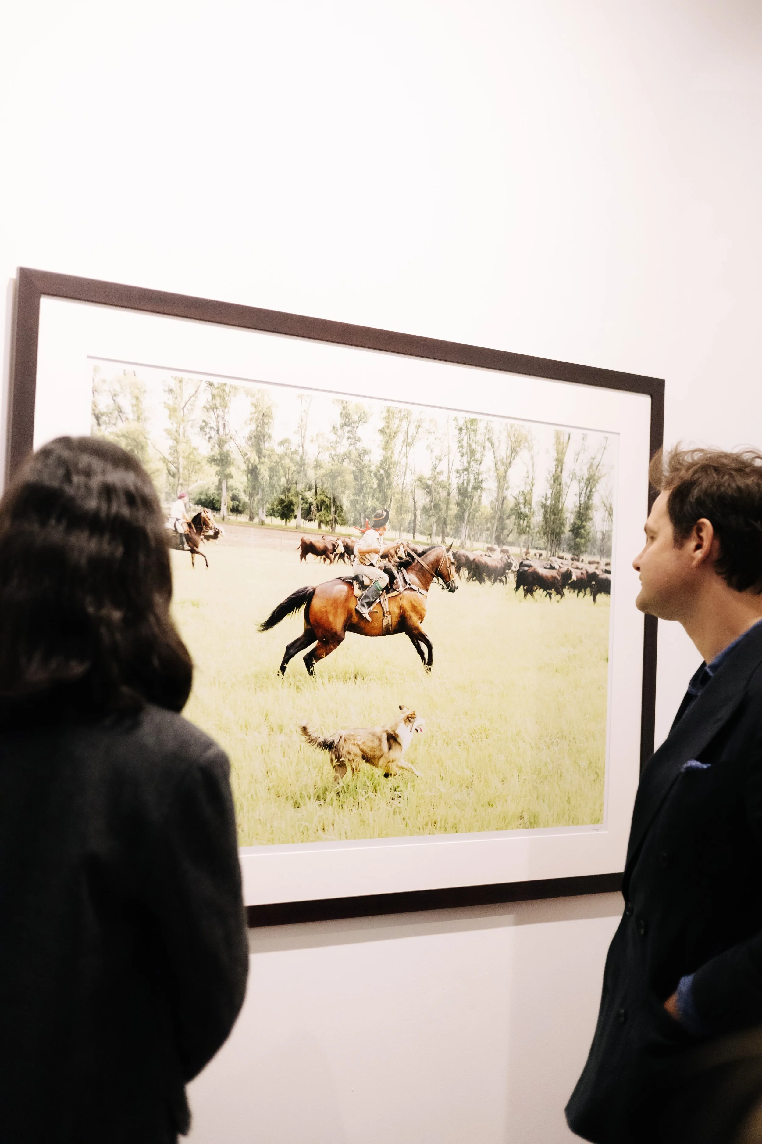People viewing a framed photograph of a cowboy riding a horse and herding cattle in a field with trees in the background. bELONGING, sabaya verger first exhibition