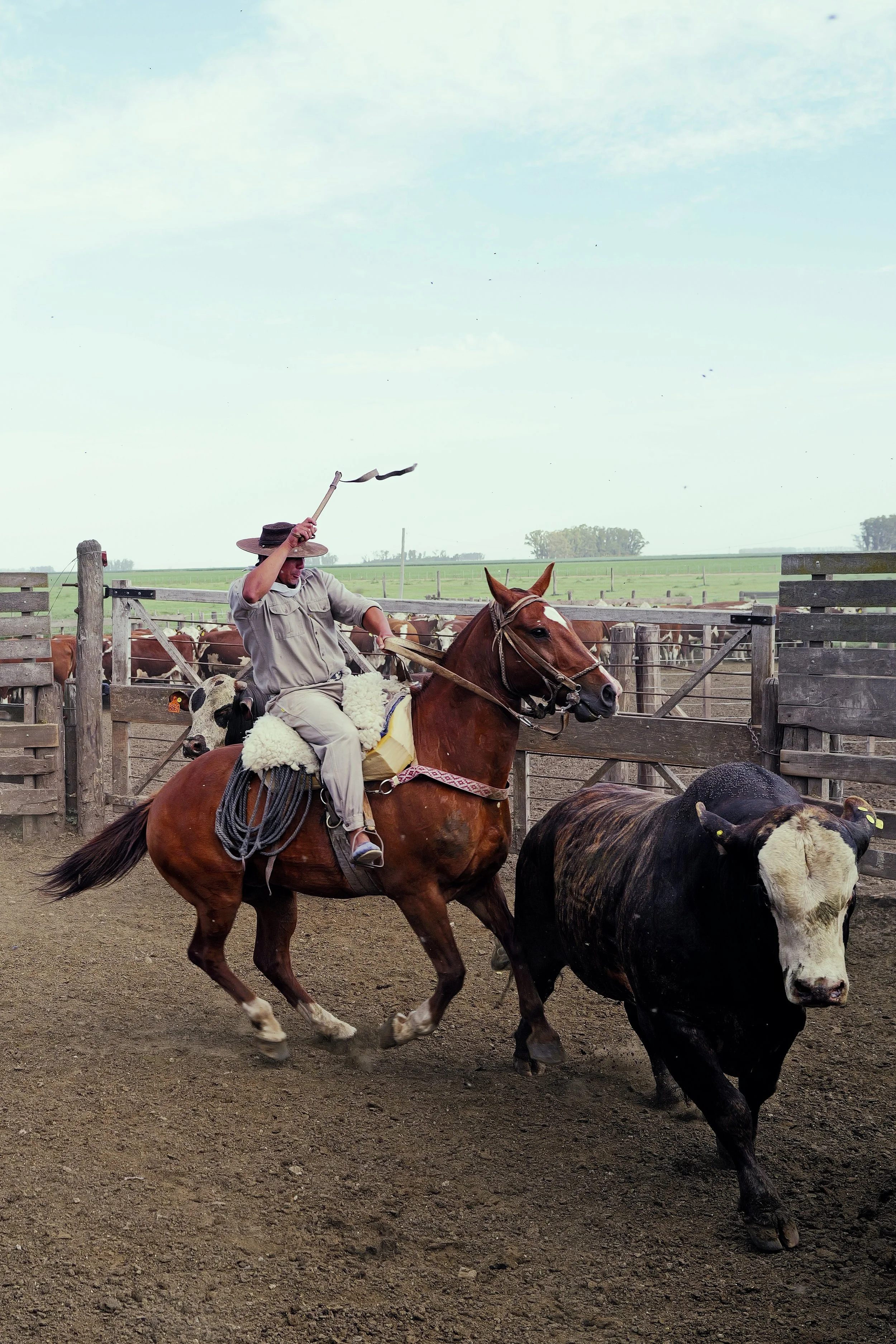 The Chase
