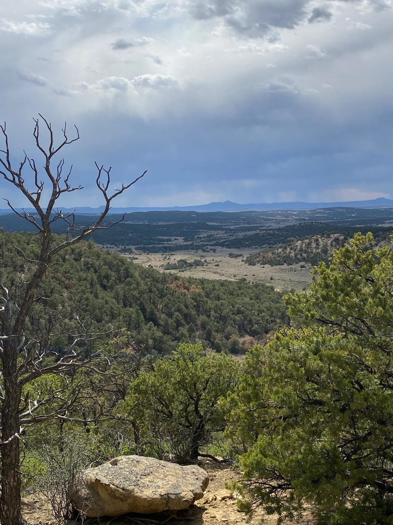 A natural landscape featuring a large rock in the foreground, surrounded by green bushes and trees, with rolling hills and mountains in the distance under a partly cloudy sky.