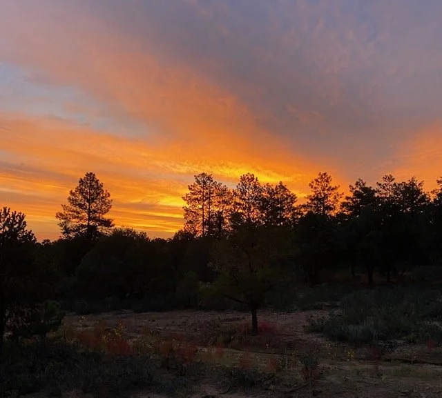 Sunset over a forested landscape with a colorful sky, silhouettes of trees in the foreground.