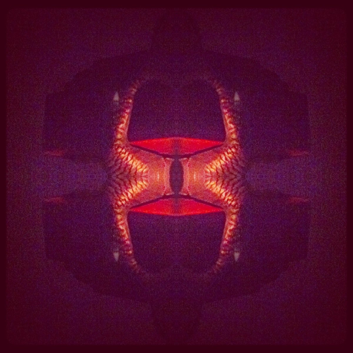 A symmetrical, abstract image with glowing red and orange patterns resembling a glowing creature or object in a dark environment.